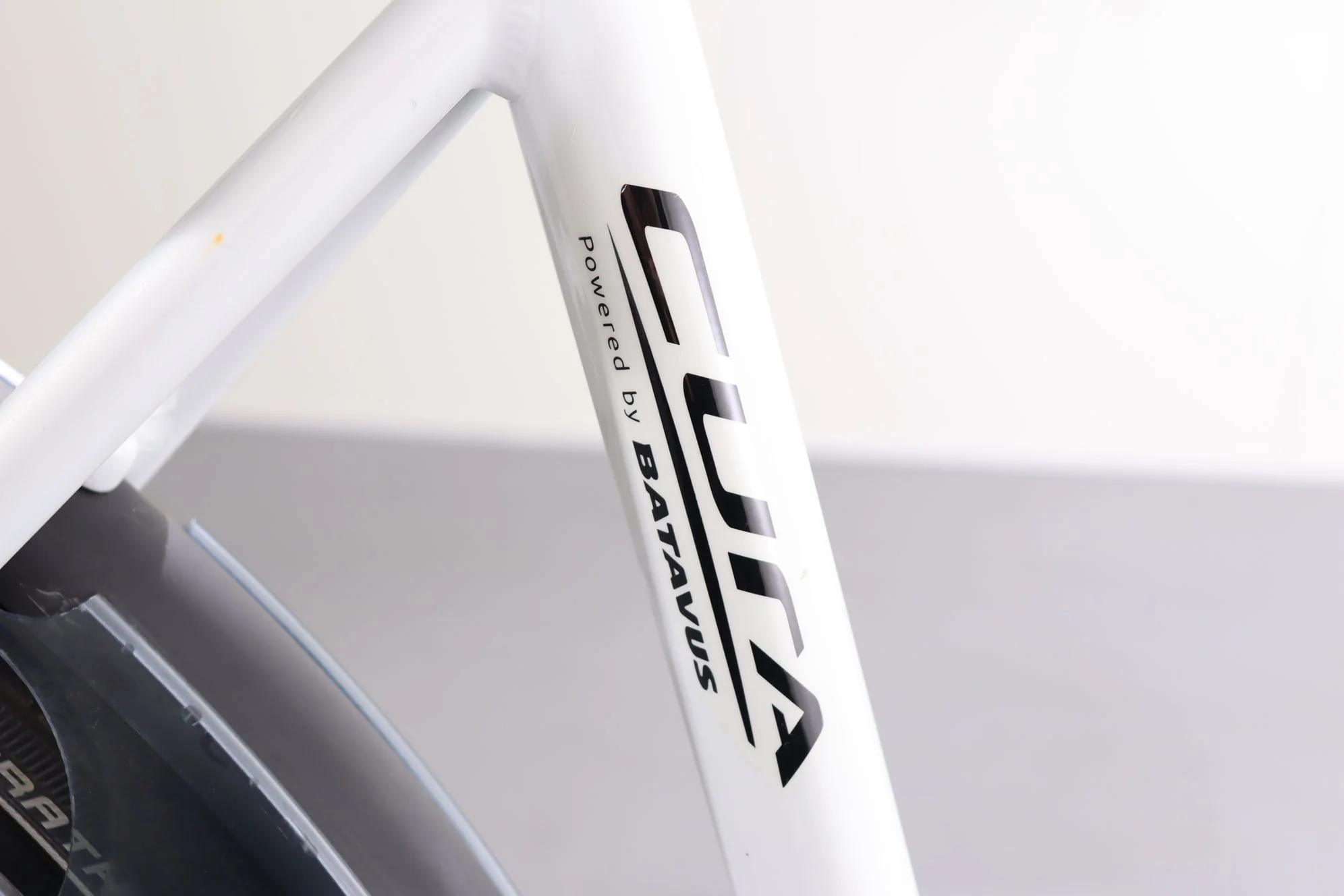 Batavus Cura - Image 10