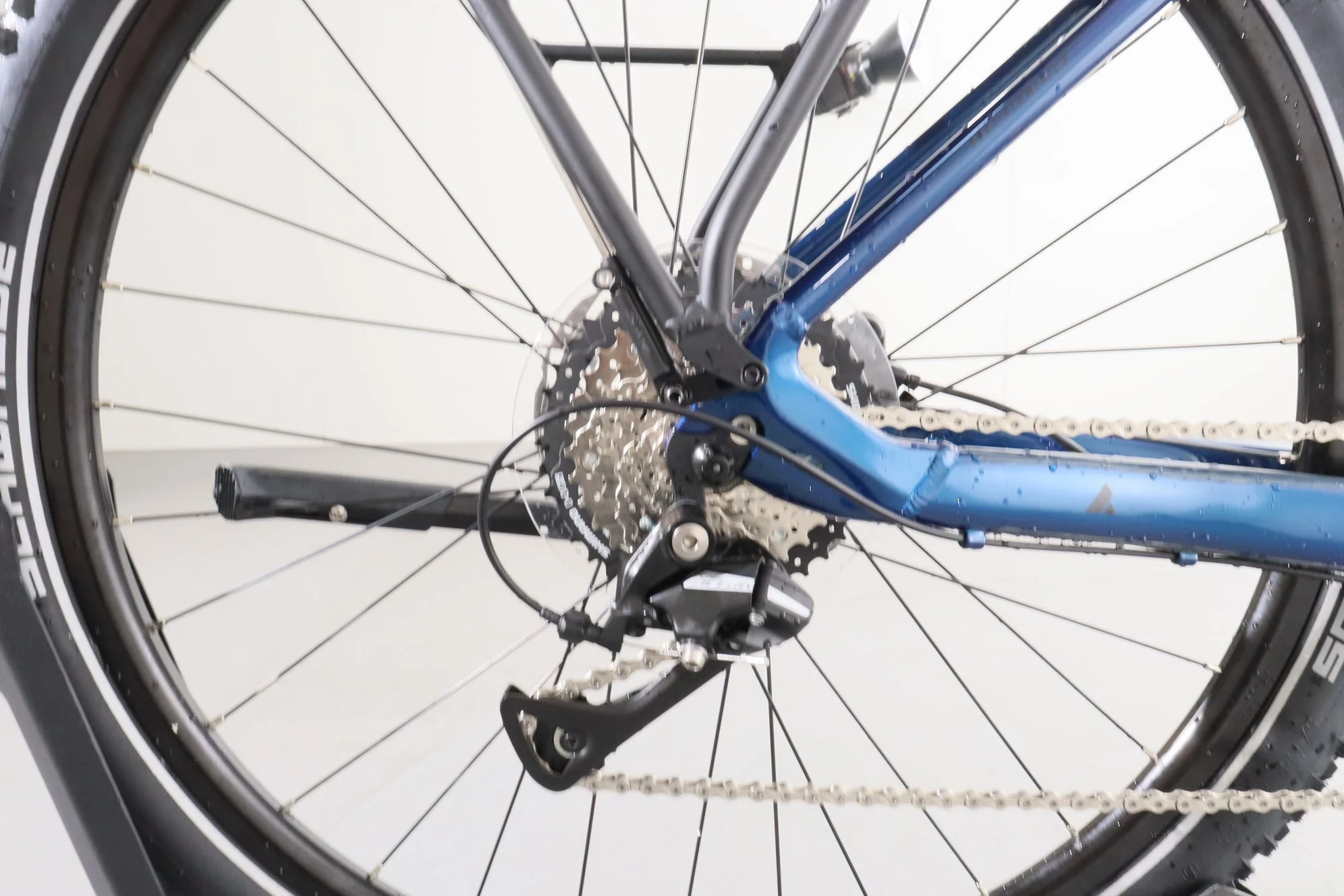 Bulls Cross Flyer EVO 1 - Image 9