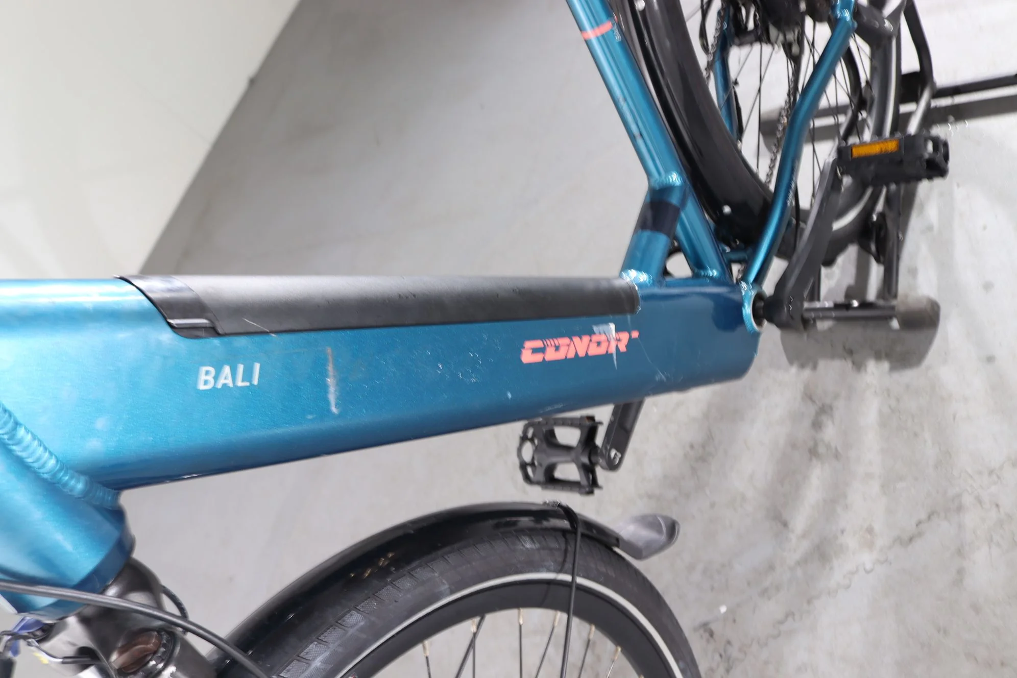 Conor Bali - Image 9