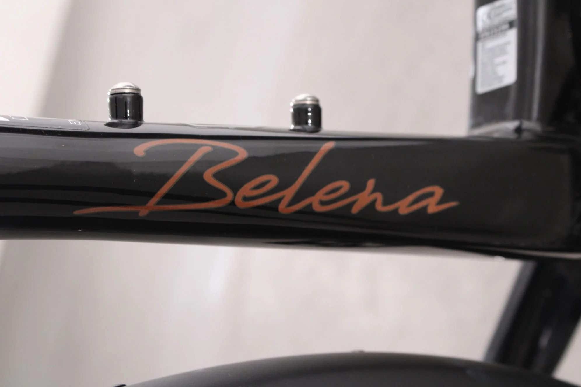 Cybic Belena - Image 8