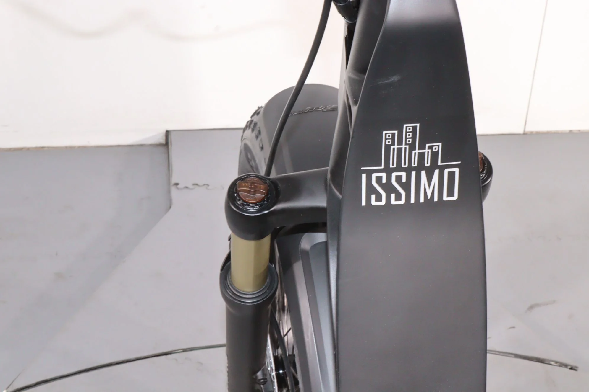 Fantic Issimo Fun - Image 9