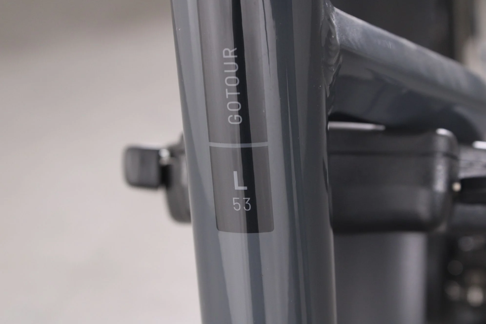 Flyer Gotour 5 7.23 Comf - Image 11
