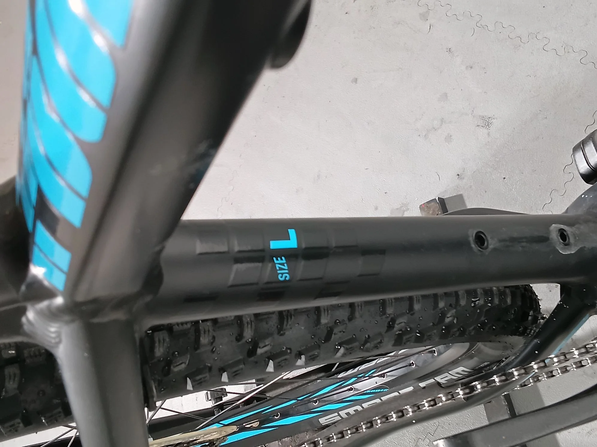 Focus BOLD² 29 LTD - Image 12