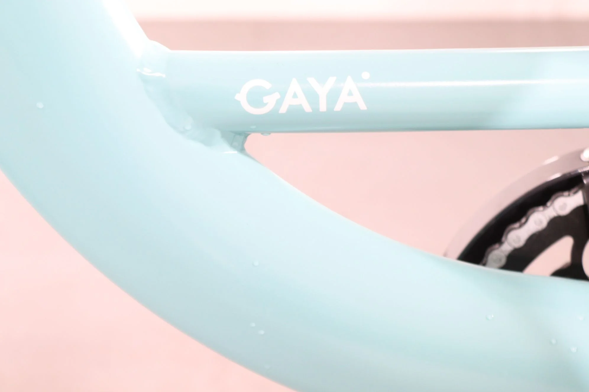 Gaya Cargo - Image 9