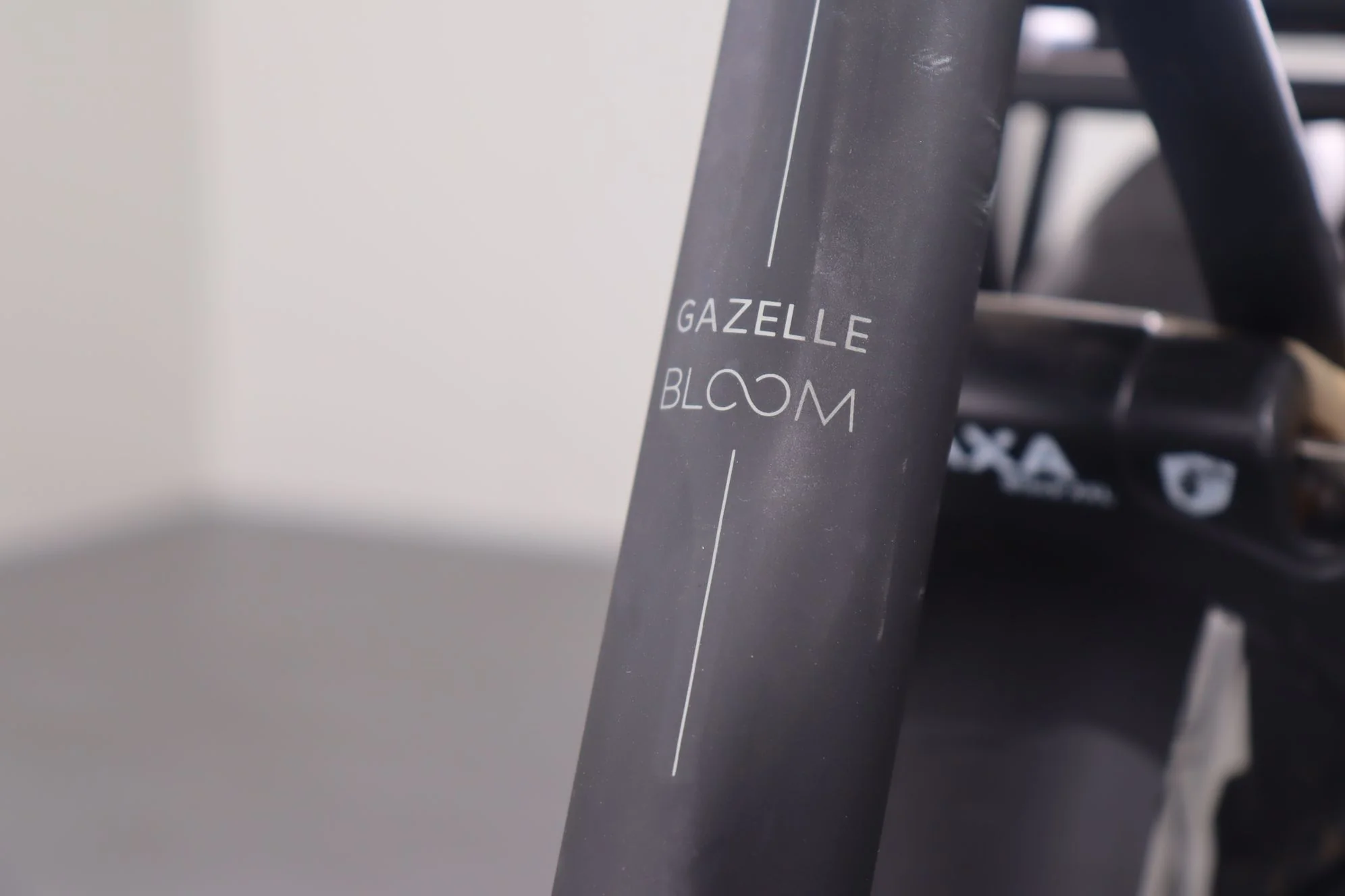 Gazelle BLOOM C380 HMS - Image 8