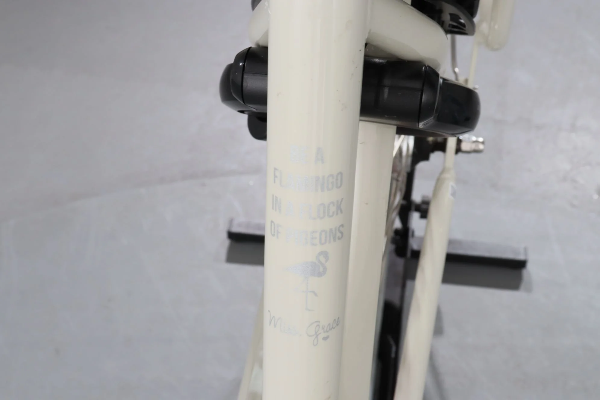 Gazelle MISS GRACE C7 - Image 16