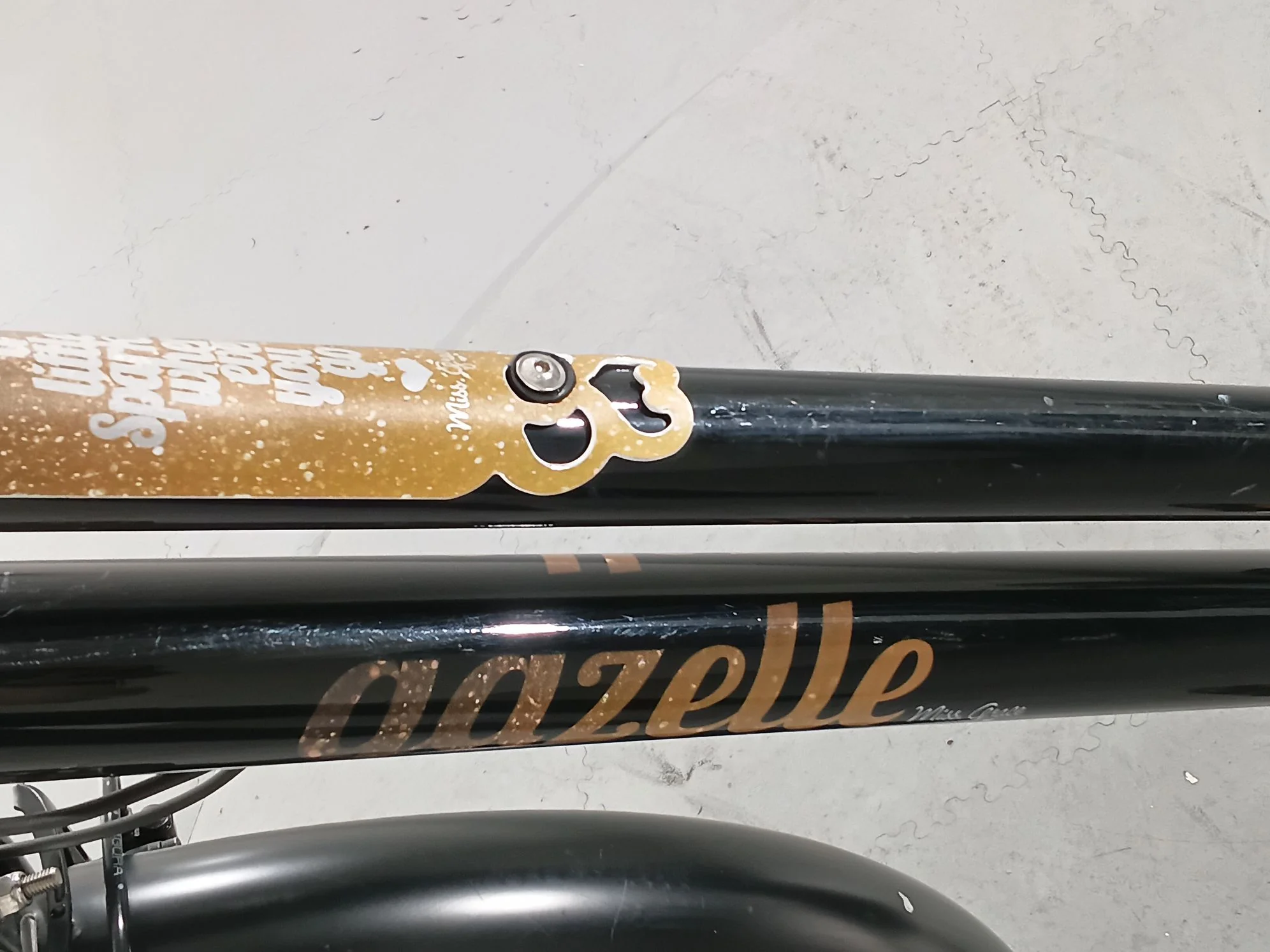 Gazelle MISS GRACE C7 - Image 8