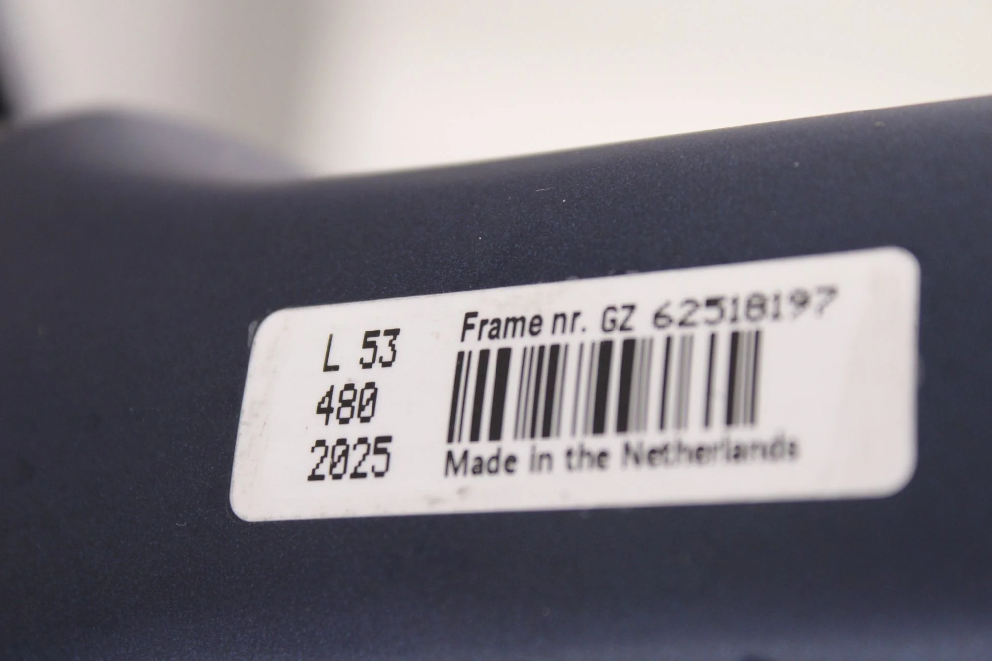 Gazelle Orange C8 - Image 8
