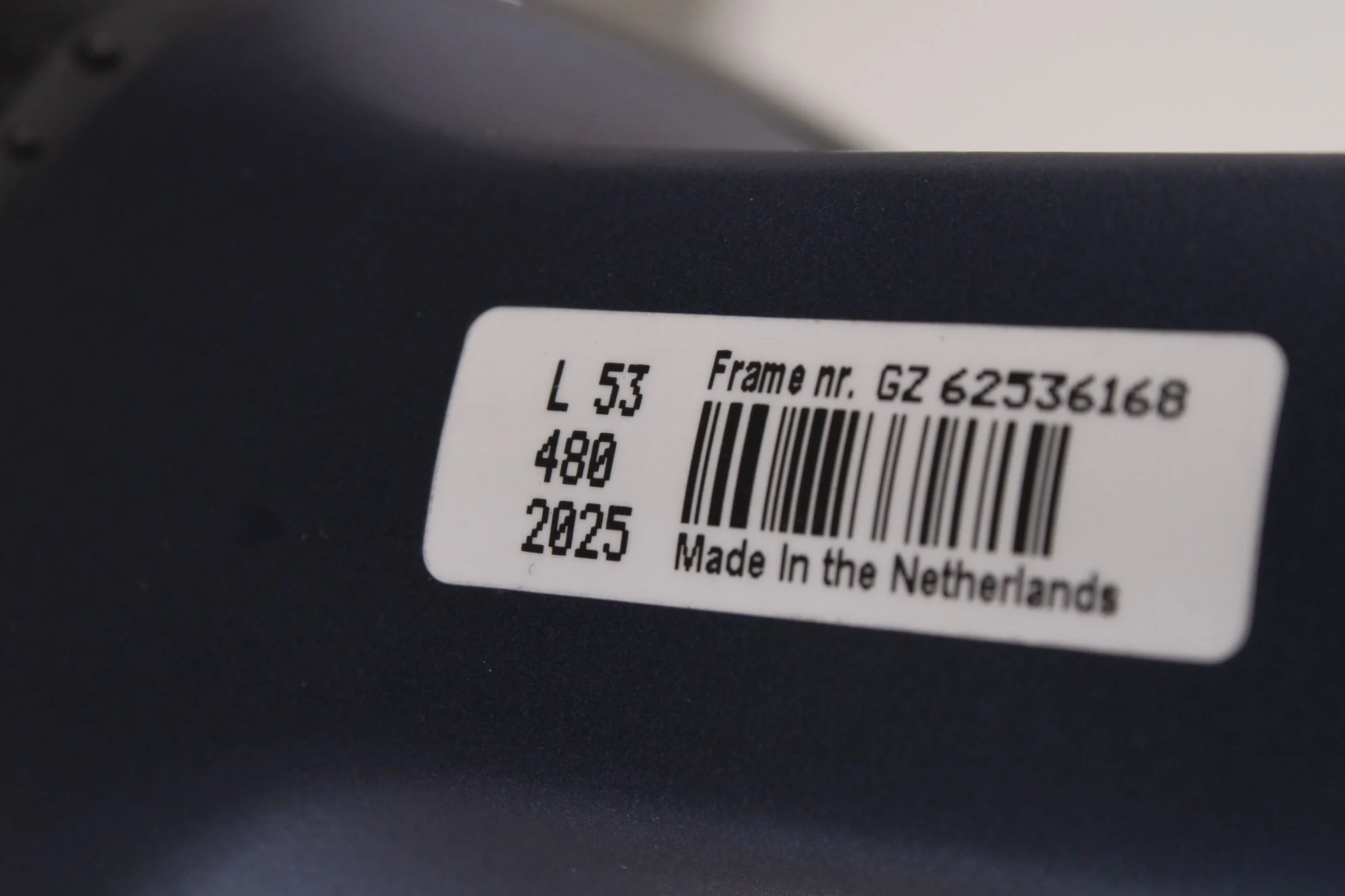 Gazelle Orange C8 - Image 8