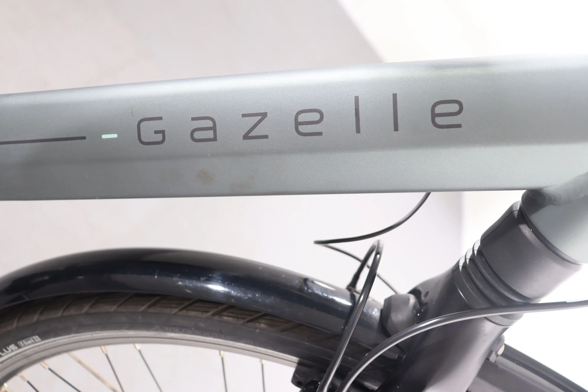 Gazelle Orange C8 - Image 8