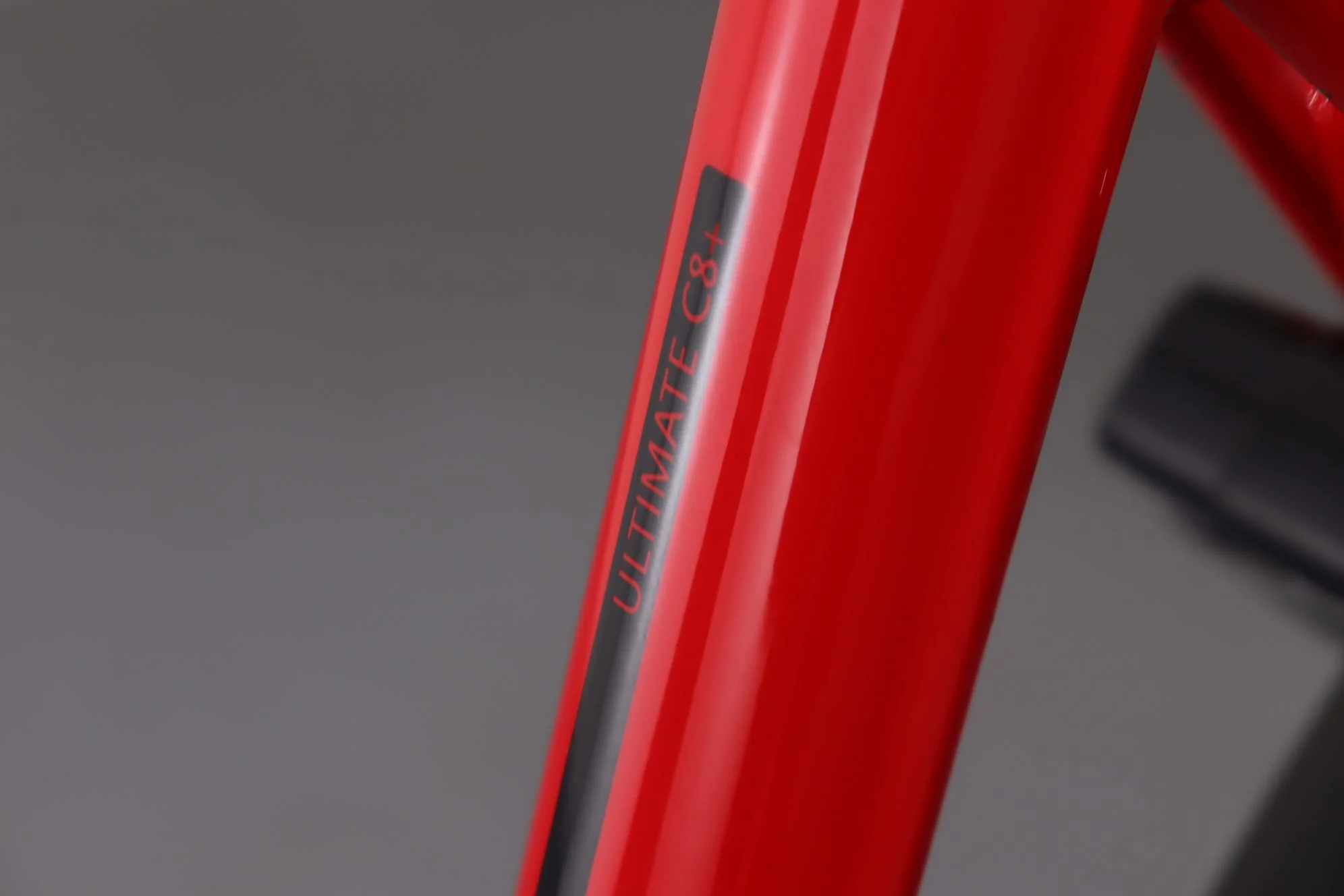Gazelle Ultimate C8+ HMB Belt - Image 8