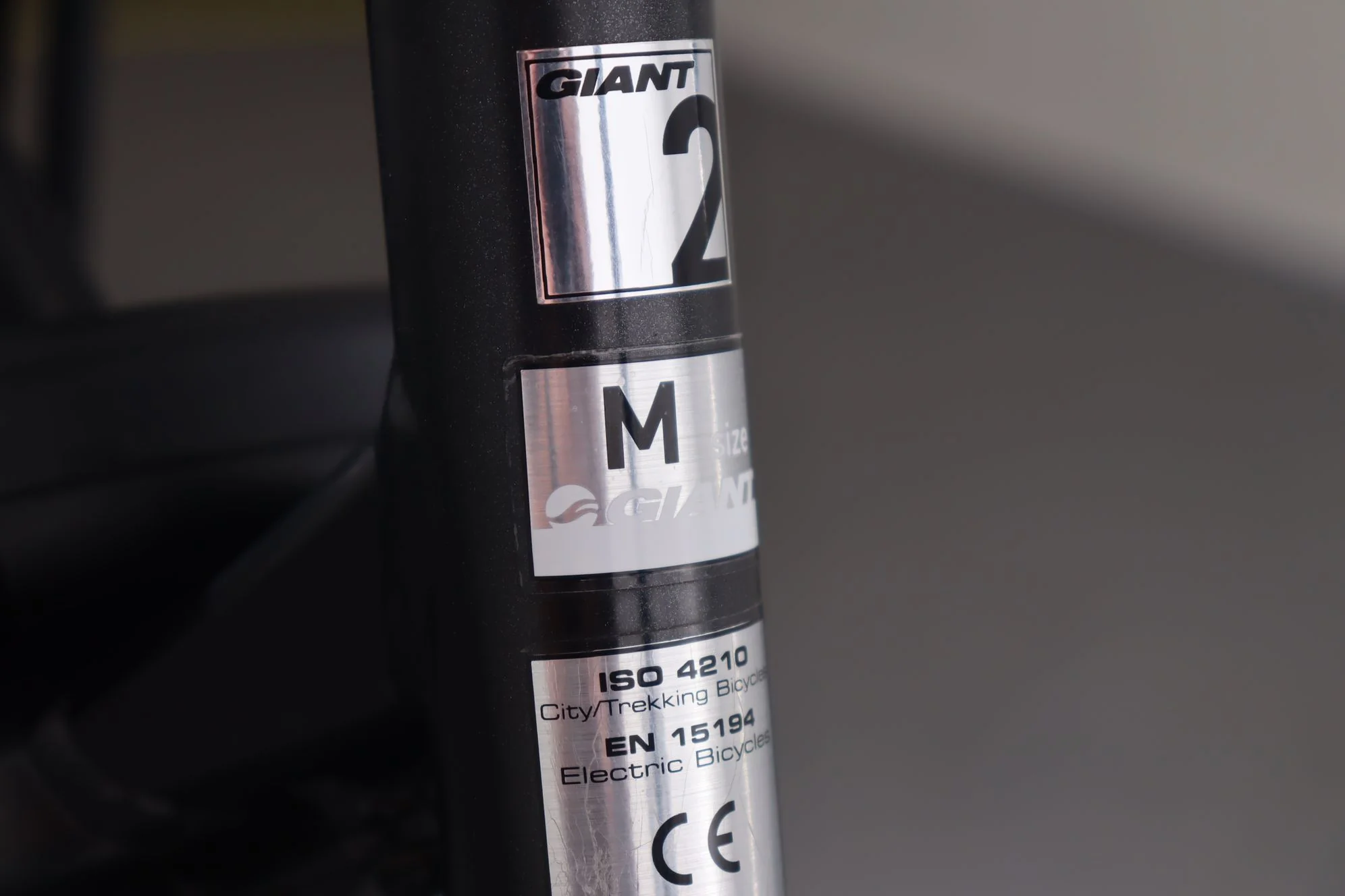 Giant Ease-e - Image 12