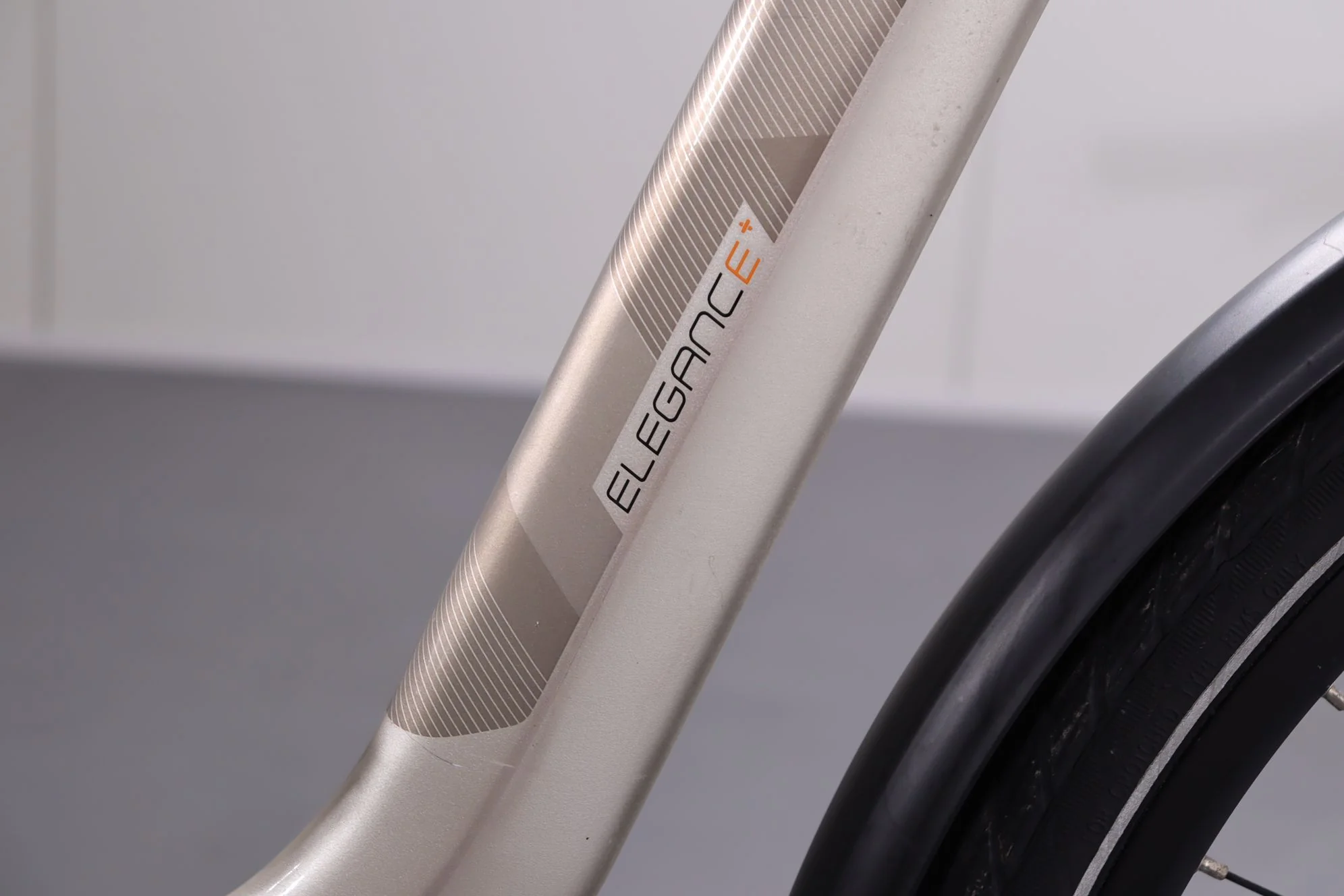 Giant Elegance - Image 10