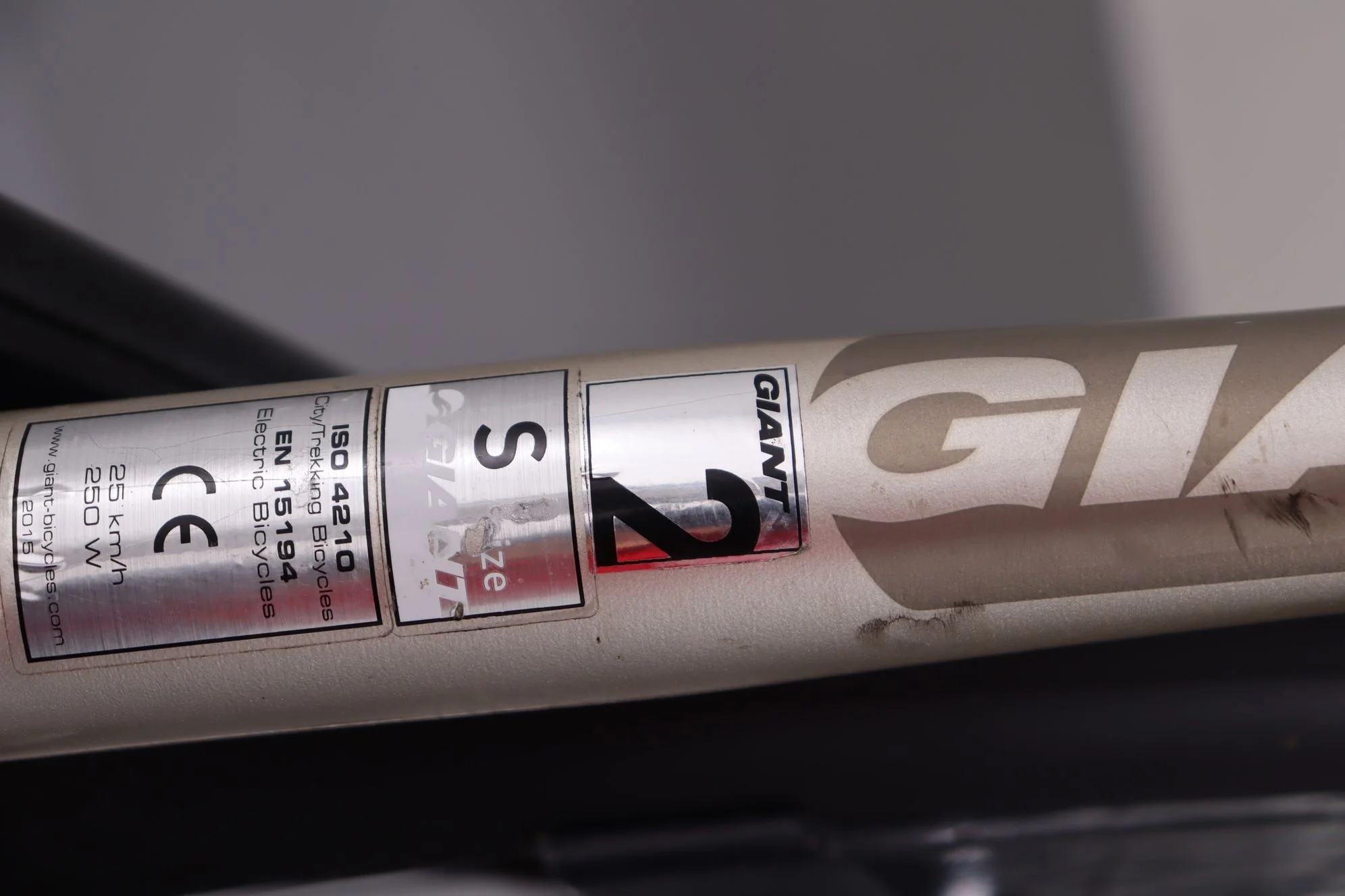 Giant Elegance - Image 8