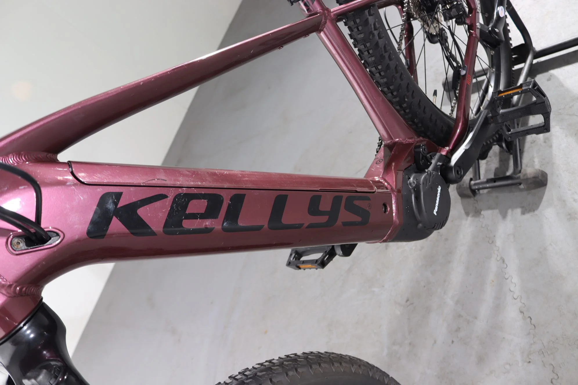 Kellys Tayen 10 - Image 9