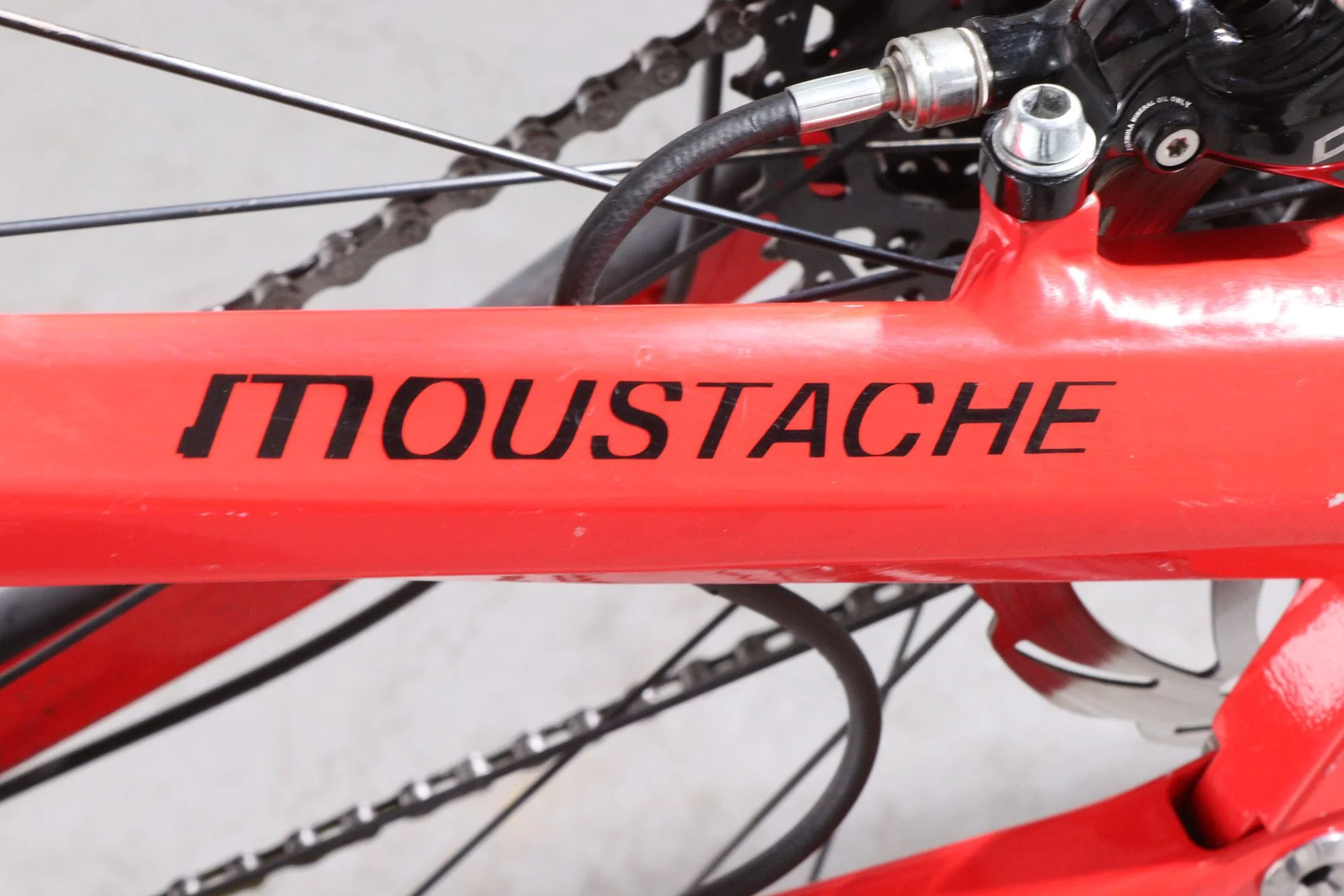 Moustache Samedi 27 Race 6 - Image 11