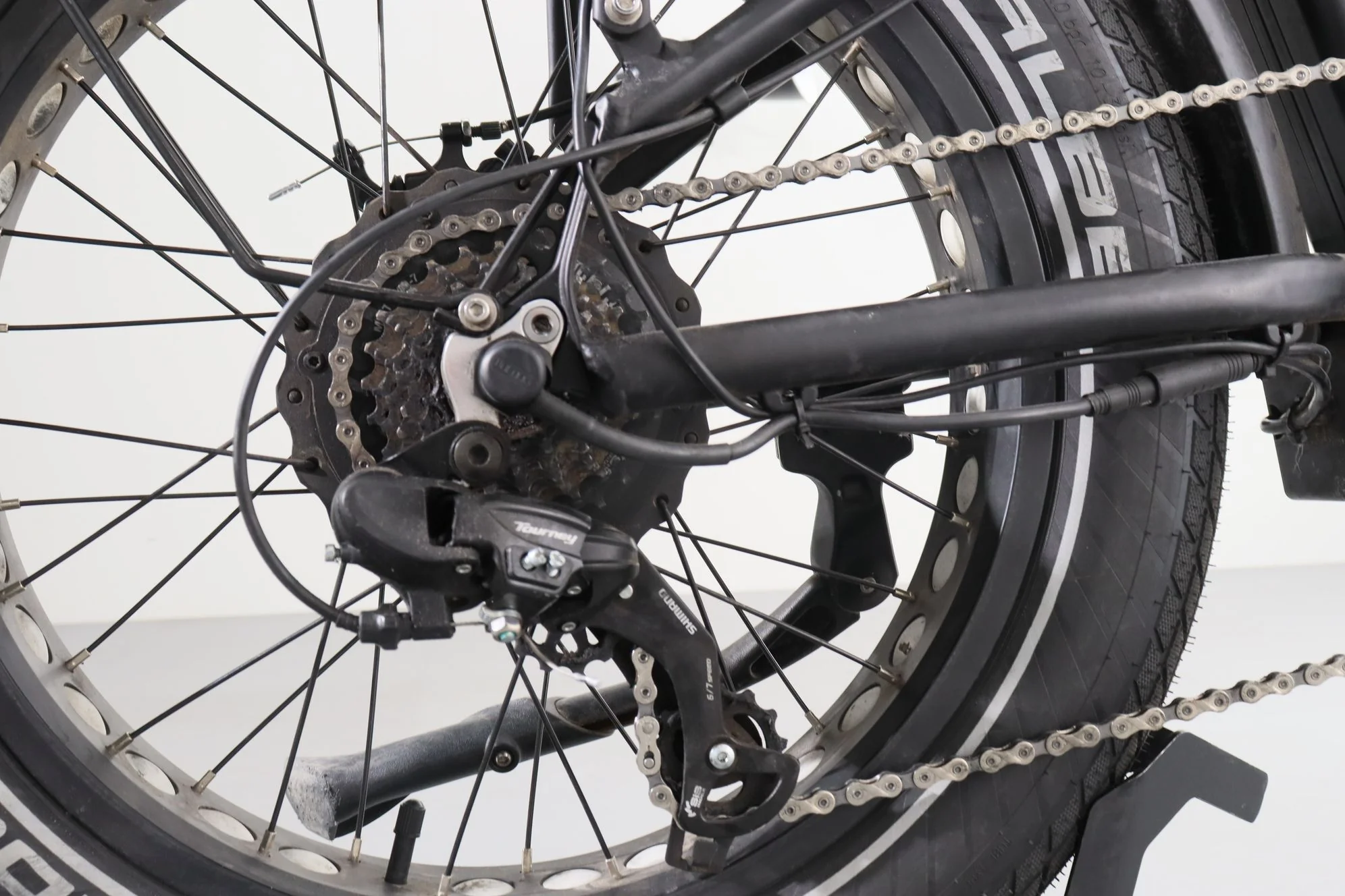 Myvelo Palma - Image 14