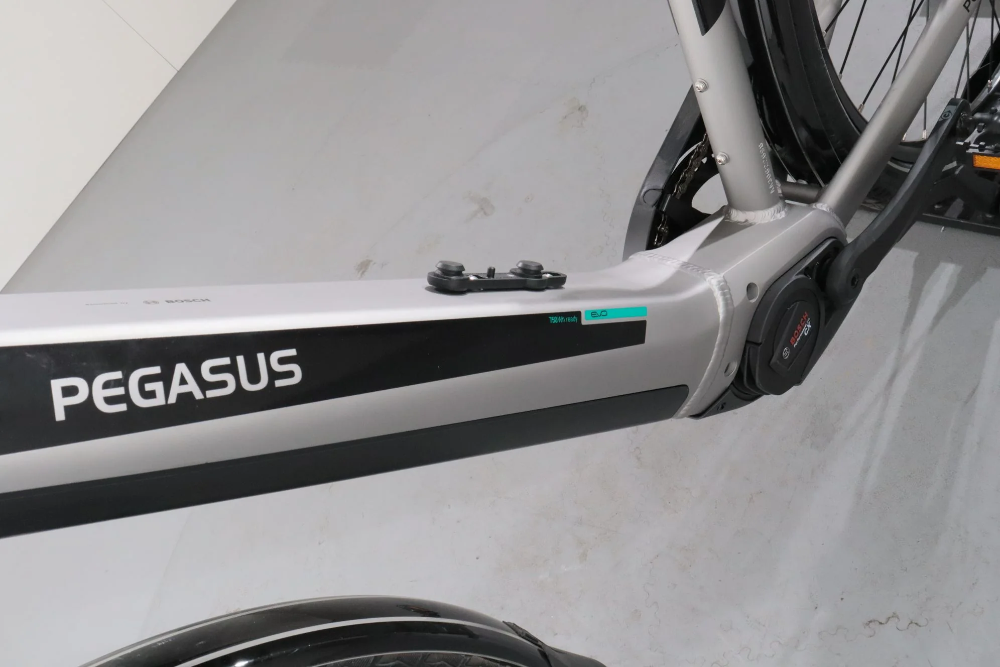 Pegasus Evo CX - Image 12