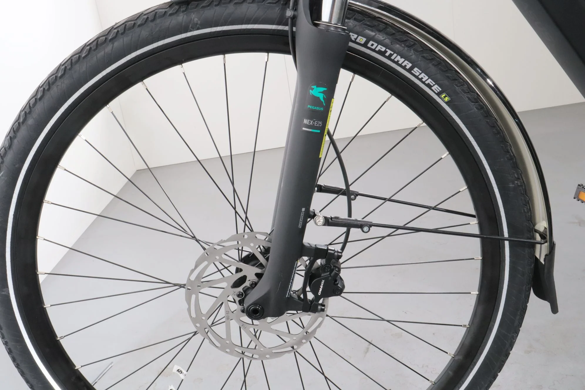 Pegasus Evo CX - Image 13