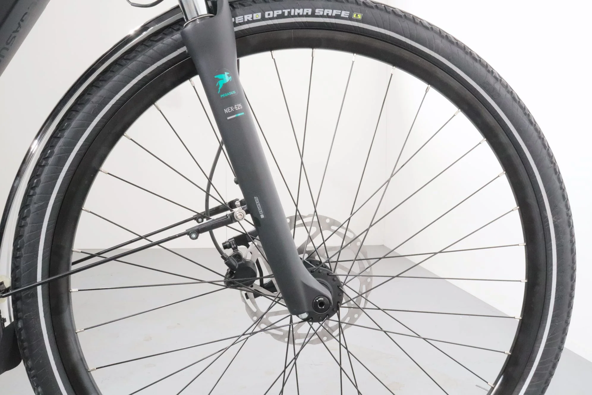 Pegasus Evo CX - Image 9