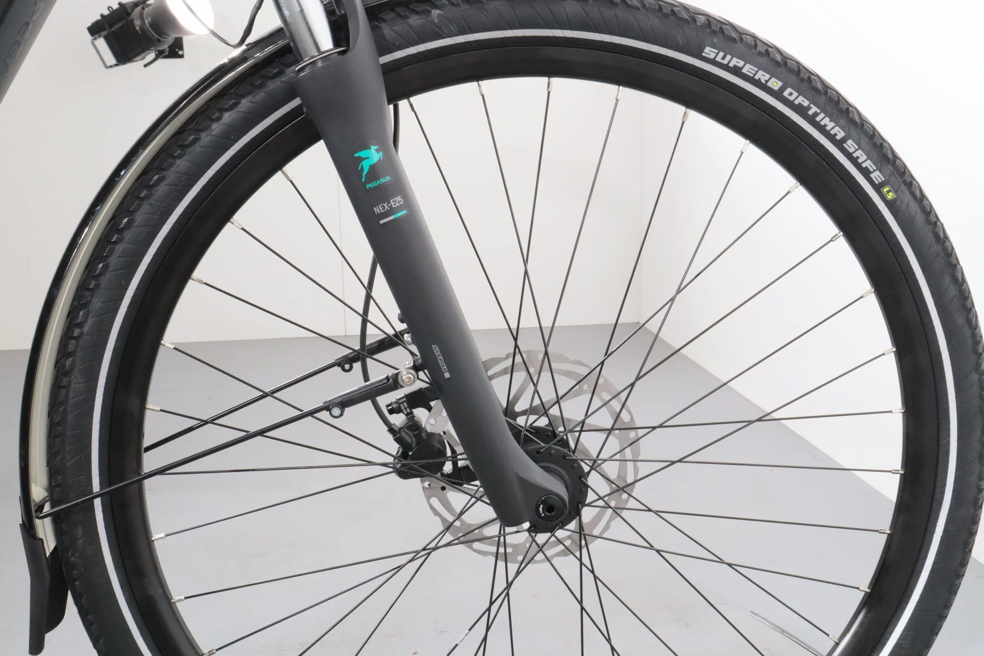 Pegasus Evo CX - Image 11