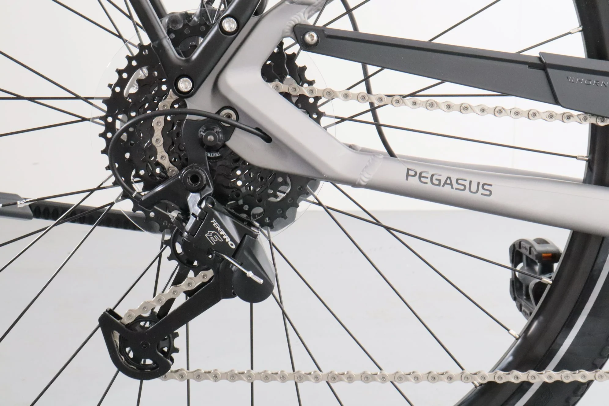 Pegasus Evo CX - Image 8