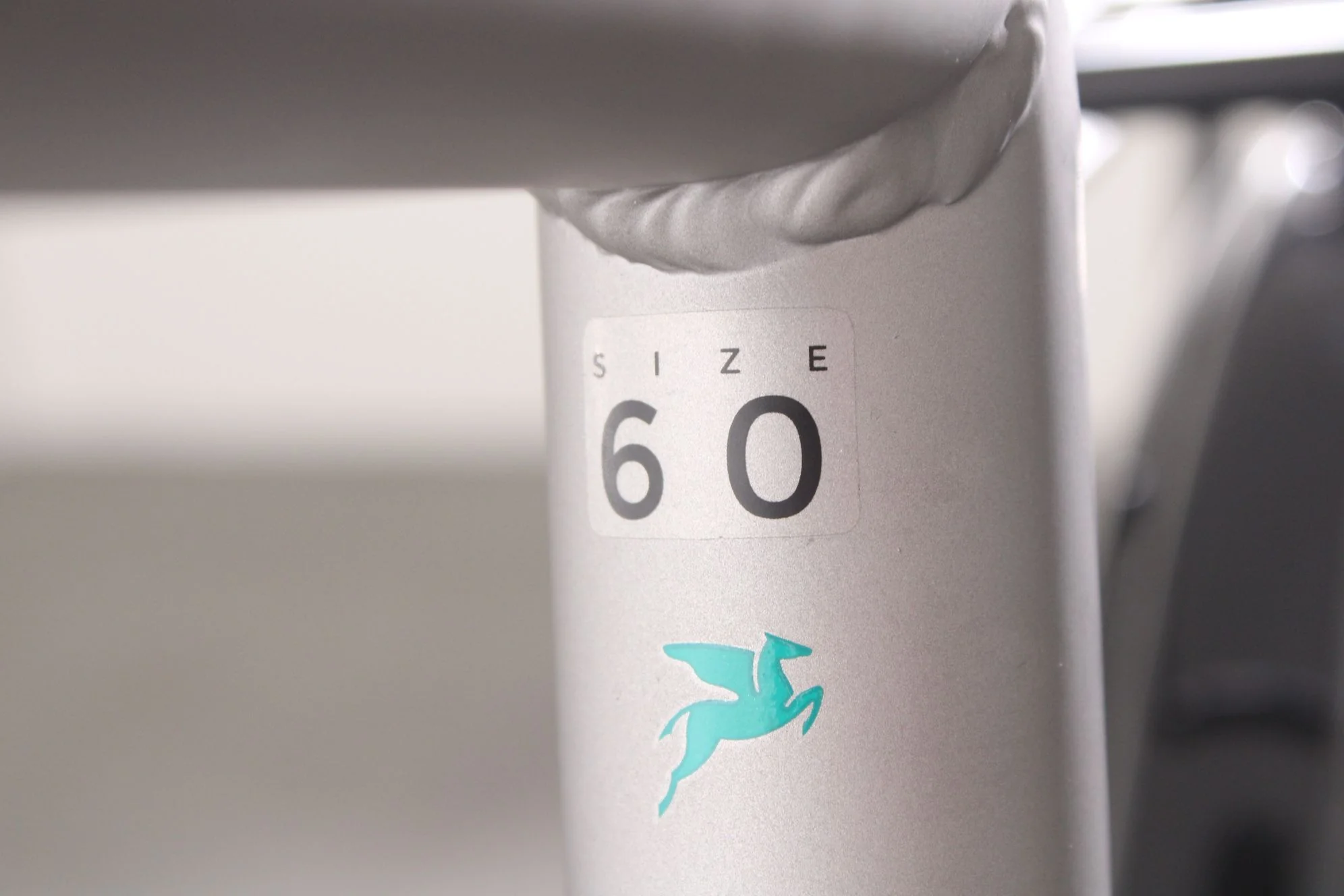 Pegasus Evo CX - Image 8
