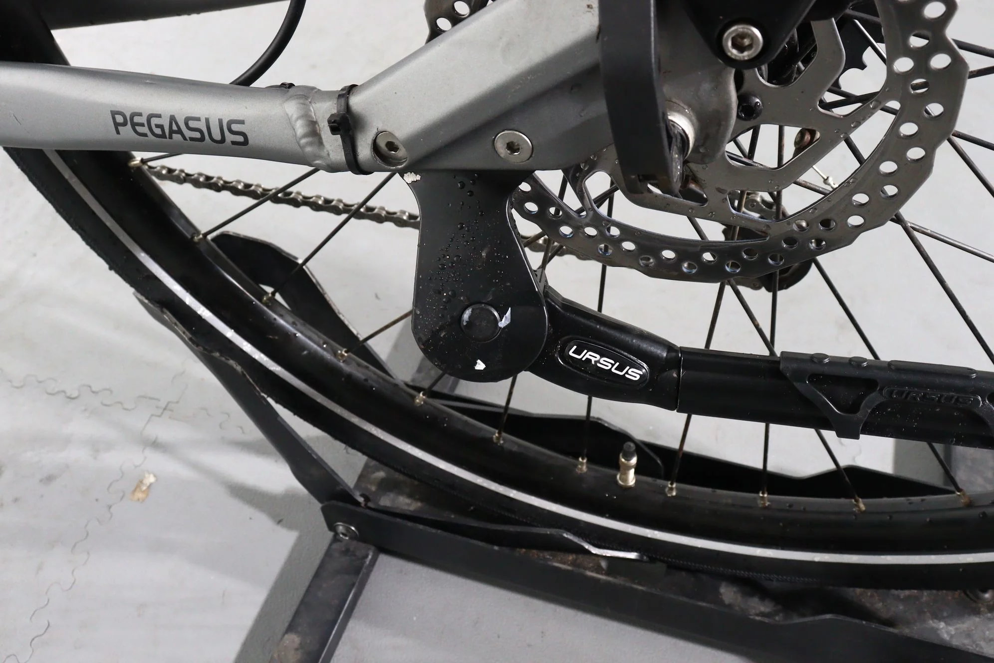 Pegasus Evo CX - Image 8