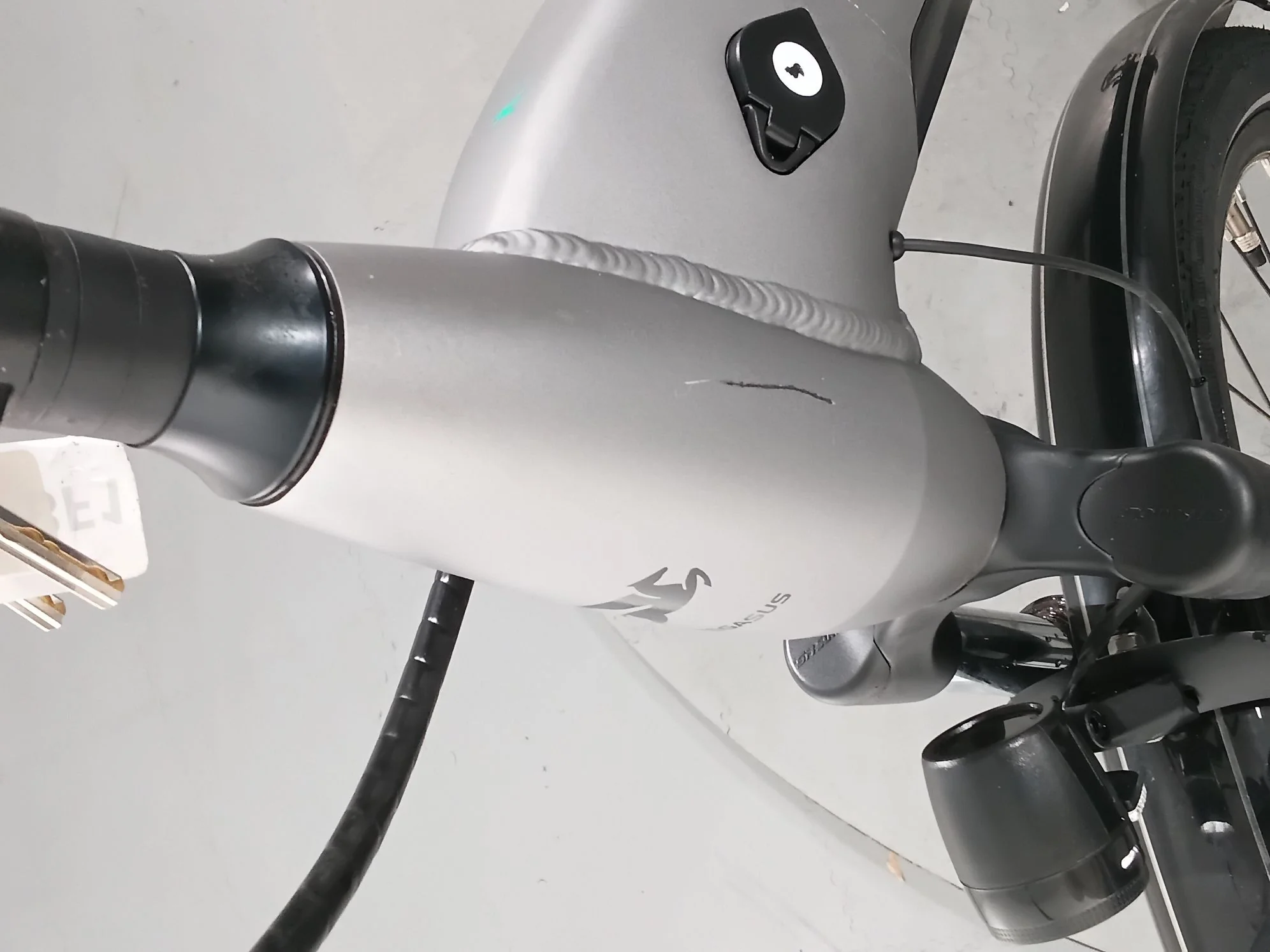 Pegasus Evo CX - Image 14