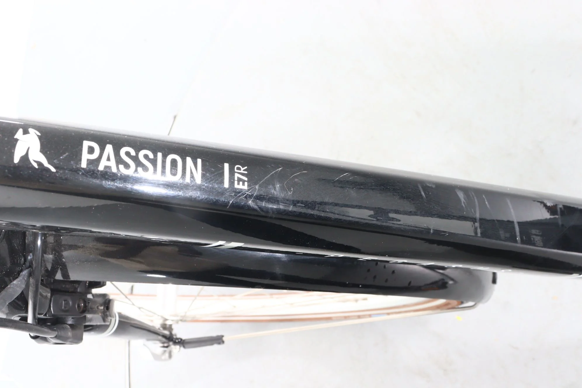 Pegasus Passion E7R - Image 11