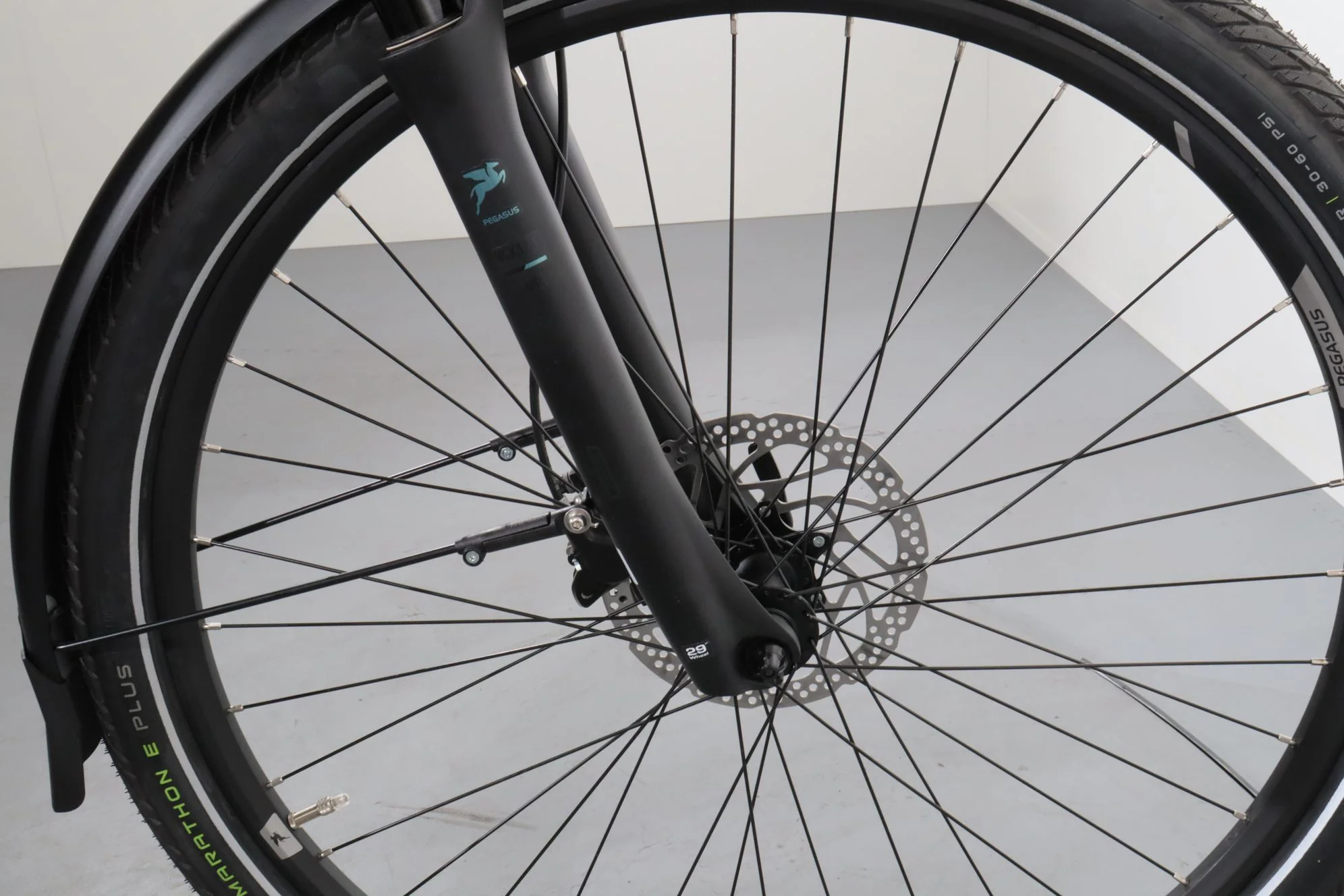 Pegasus Premio EVO 10 Lite - Image 10