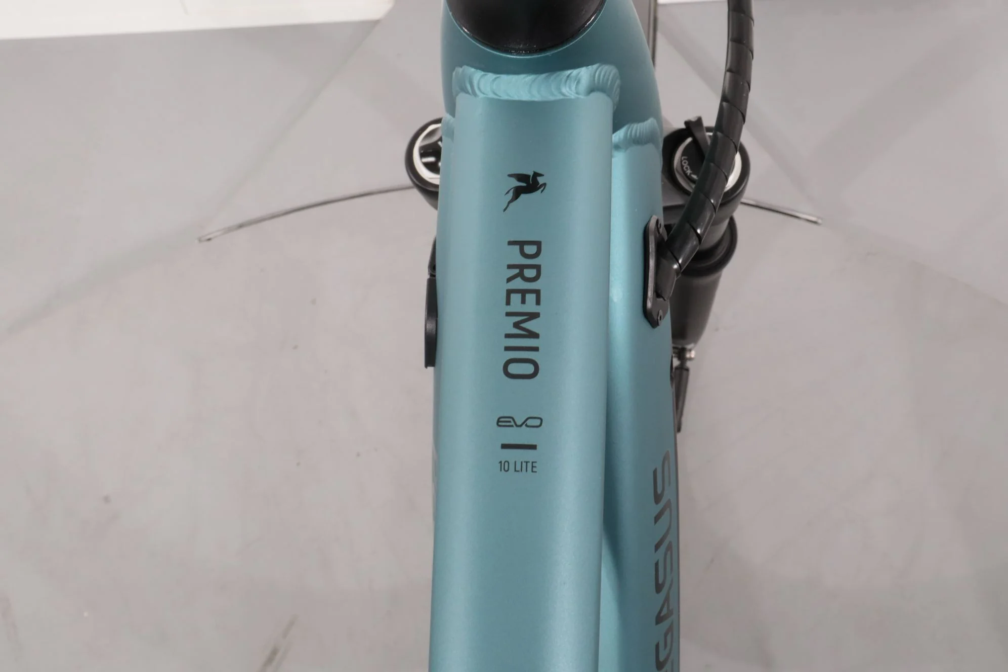 Pegasus Premio EVO 10 Lite - Image 11