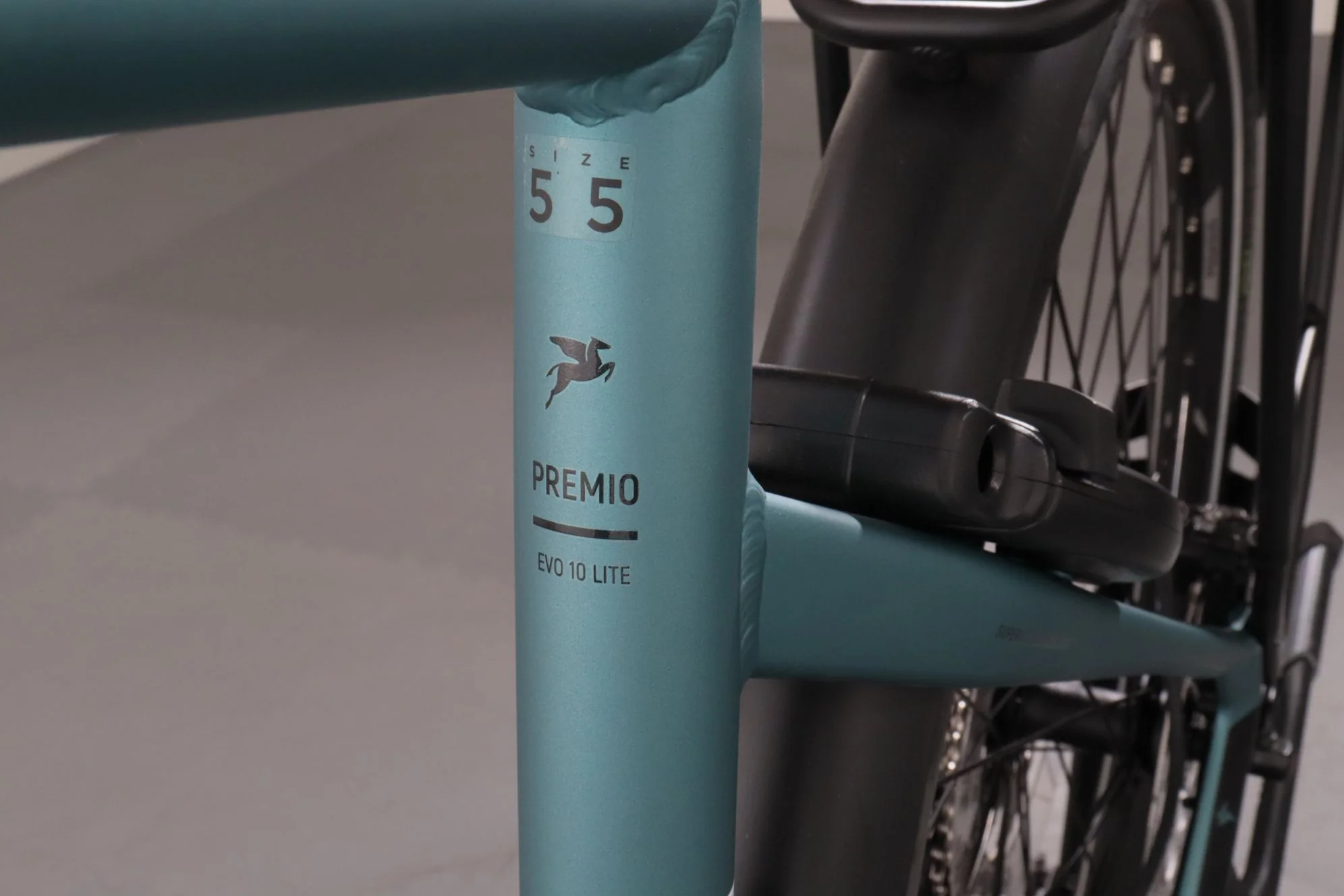 Pegasus Premio EVO 10 Lite - Image 13