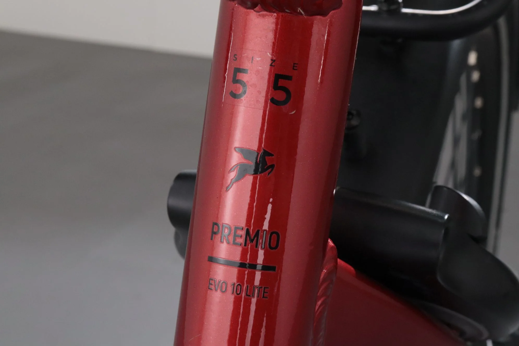 Pegasus Premio EVO 10 Lite - Image 10