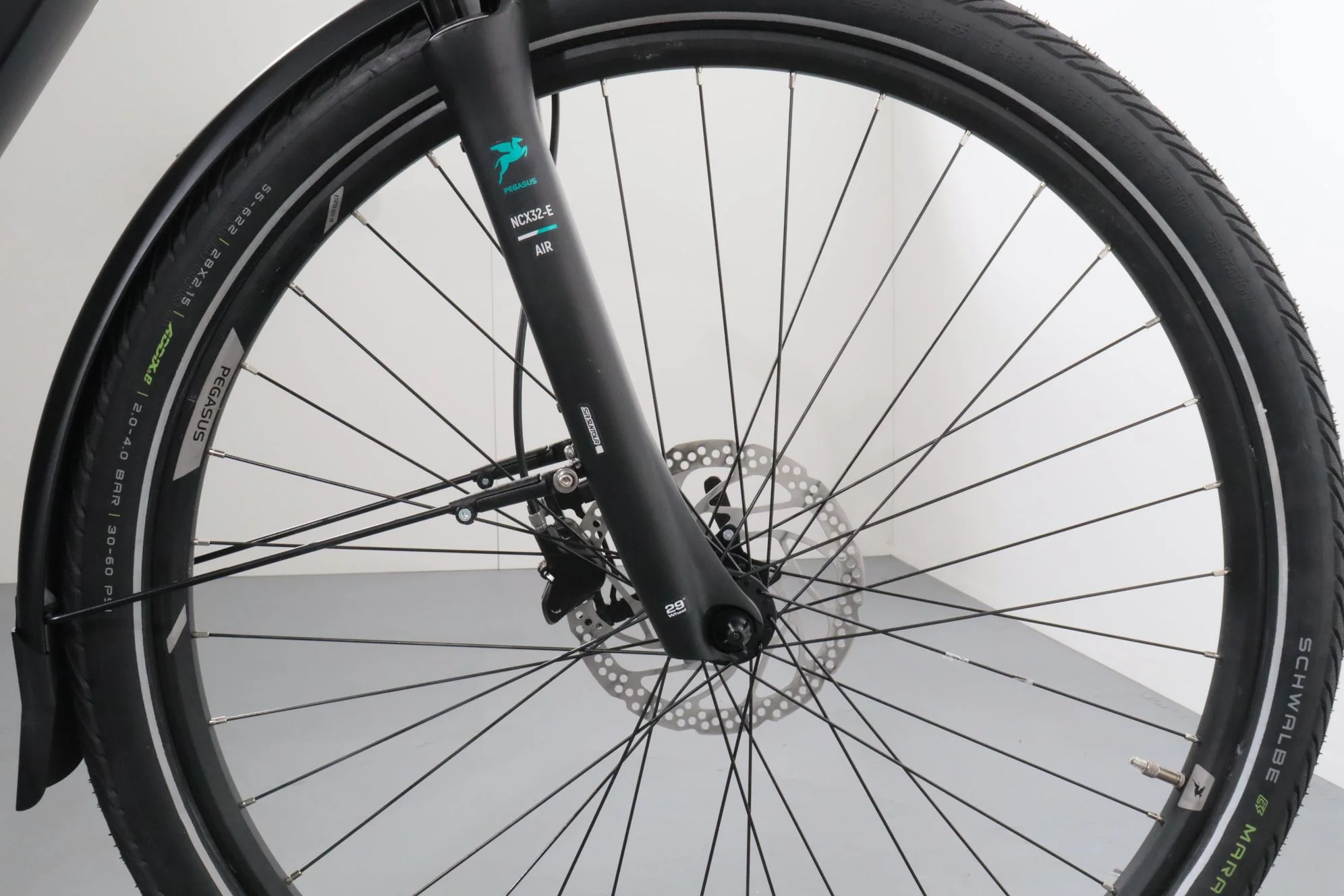 Pegasus Premio Evo 10 Lite - Image 11
