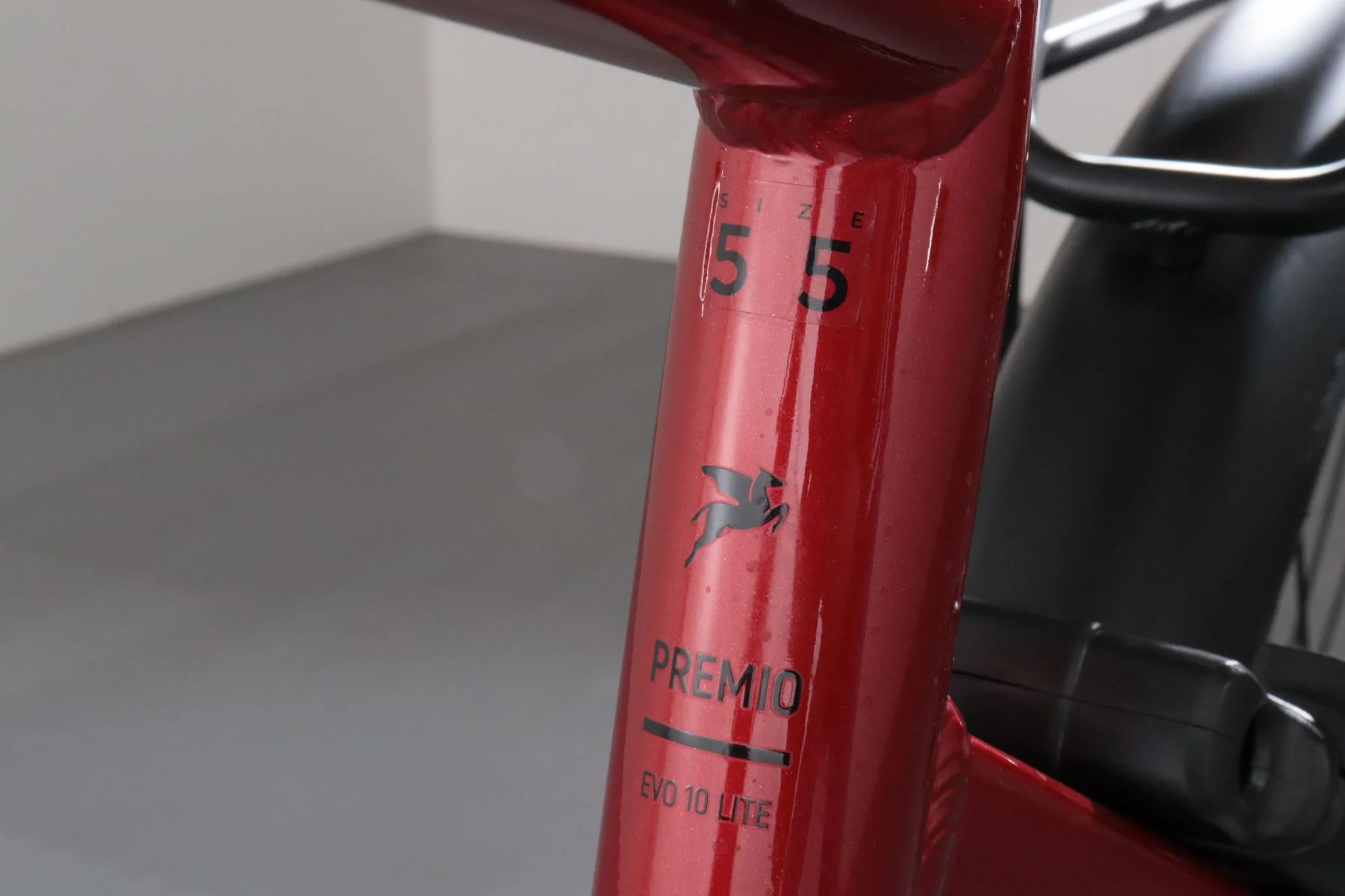 Pegasus Premio EVO 10 Lite - Image 8