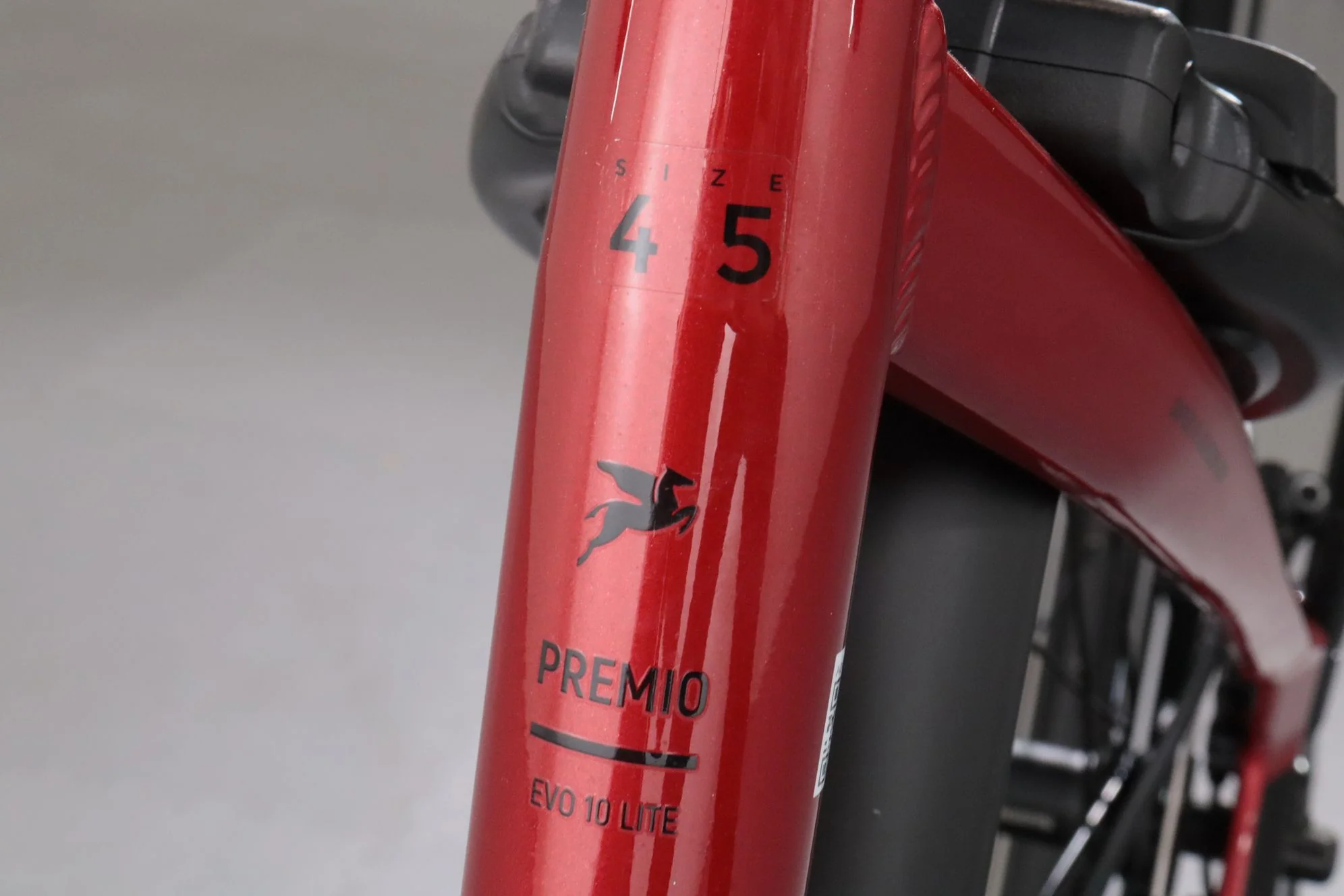 Pegasus Premio EVO 10 Lite - Image 10