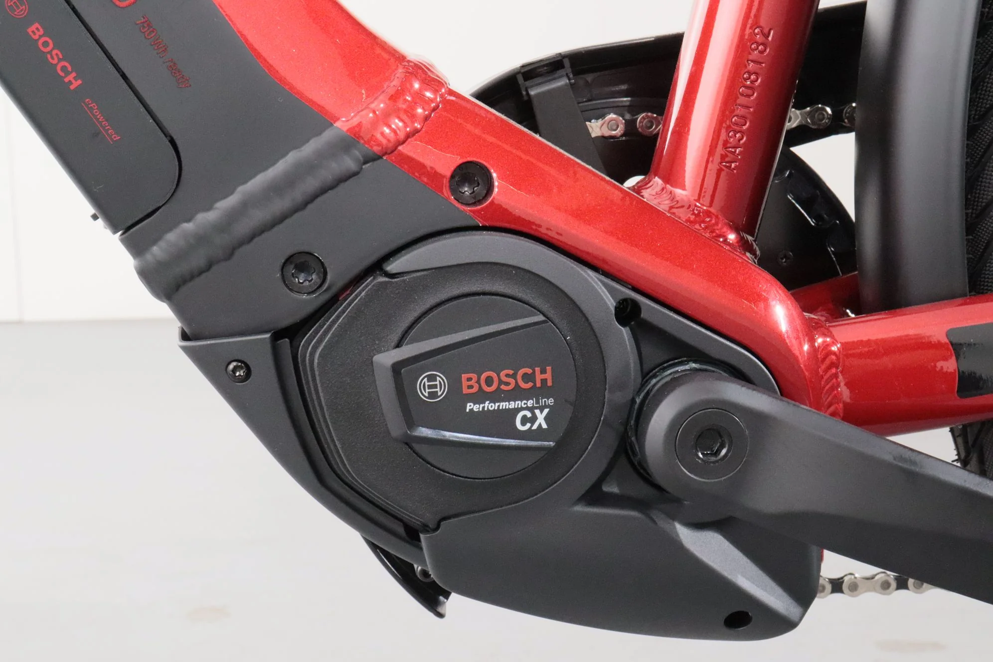 Pegasus Premio EVO 10 Lite - Image 13