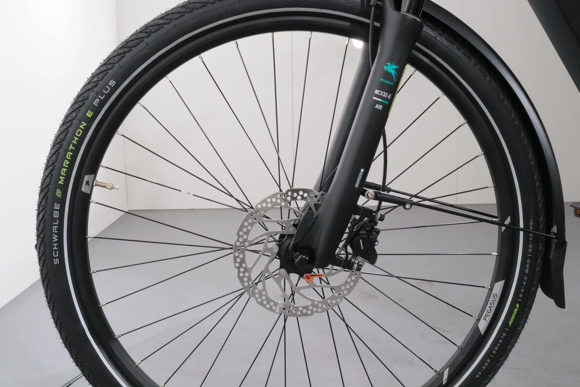 Pegasus Premio Evo 10 Lite - Image 10