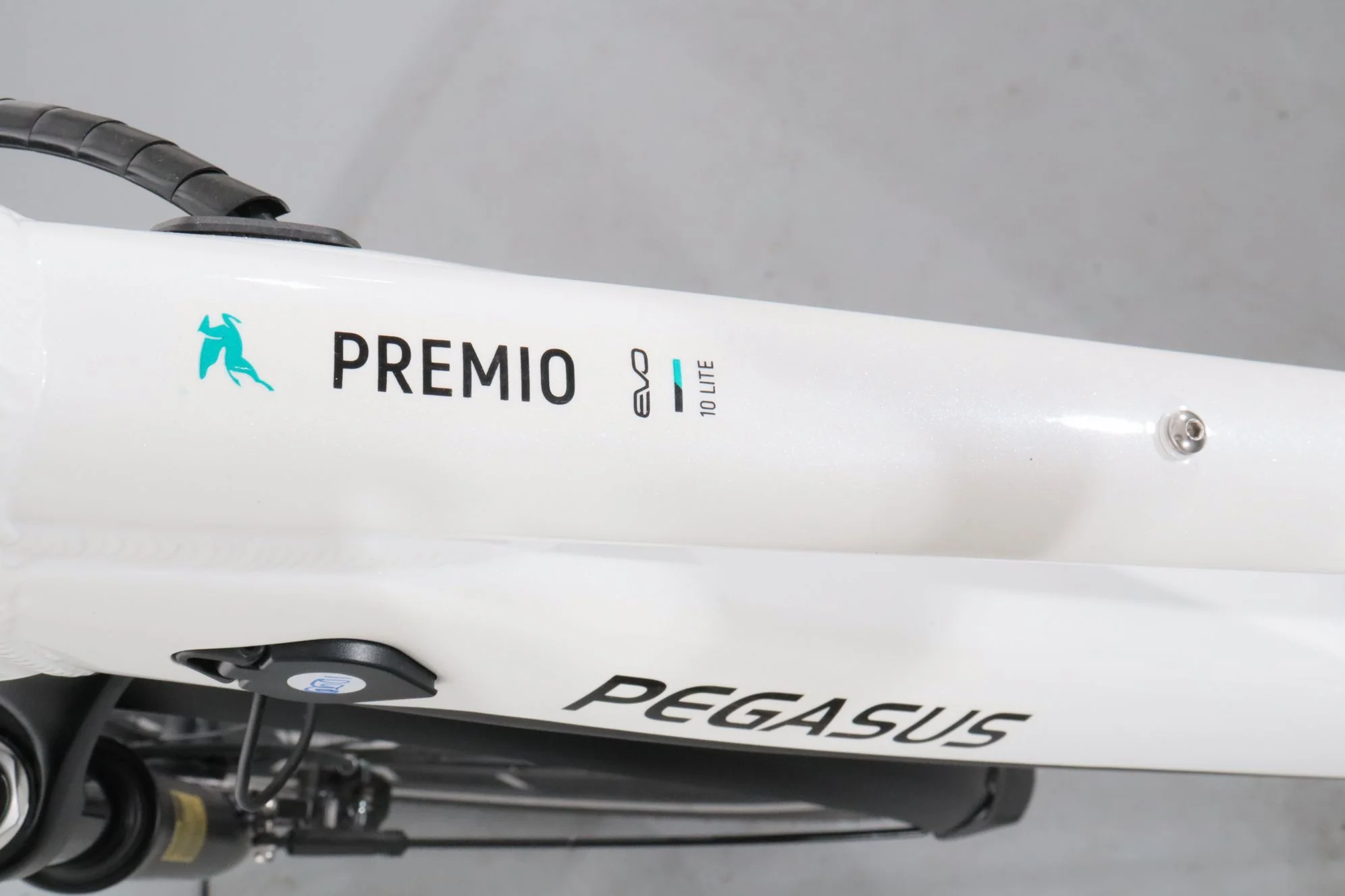 Pegasus Premio Evo 10 Lite - Image 11