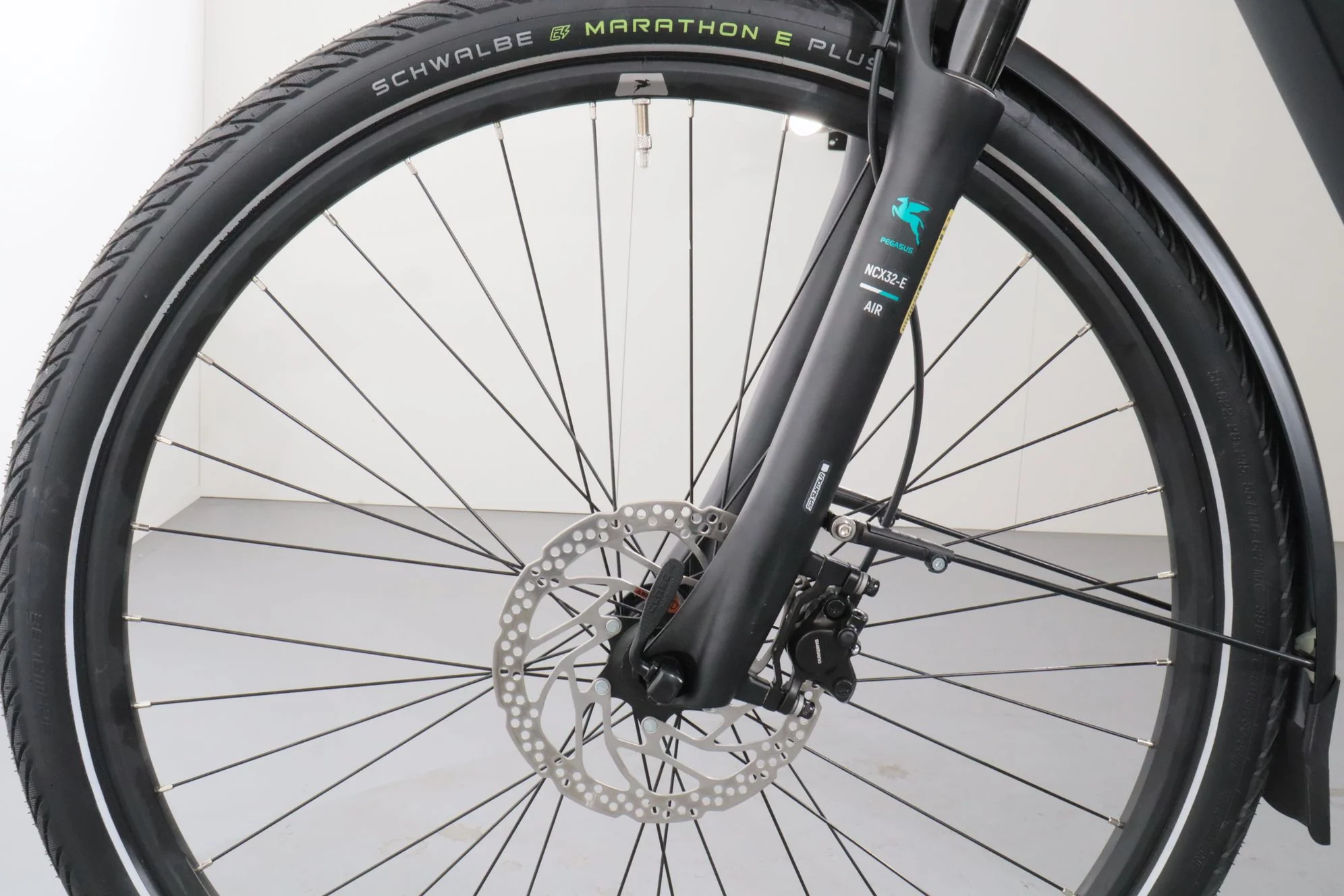 Pegasus Premio EVO 10 Lite - Image 11