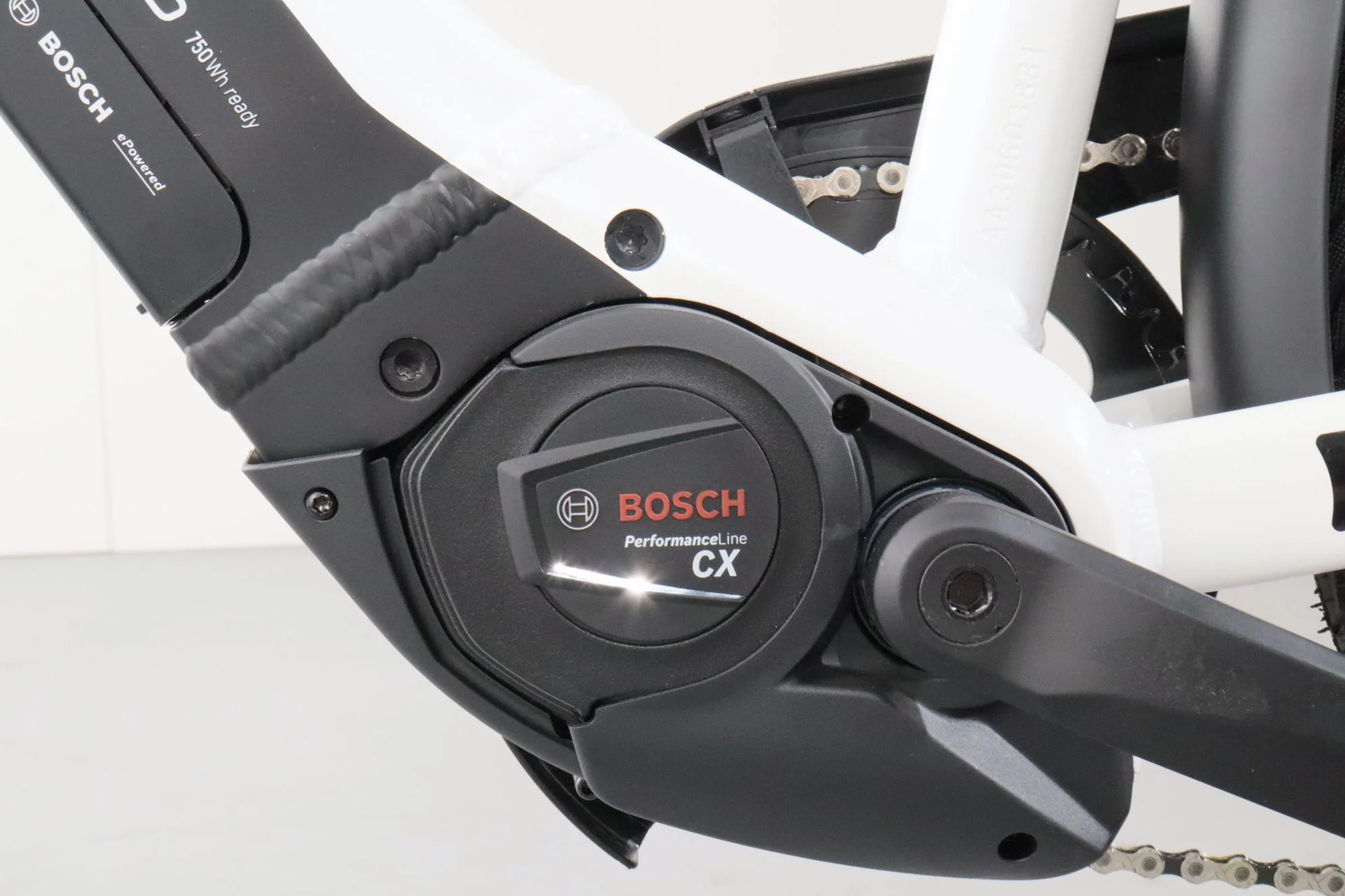 Pegasus Premio EVO 10 Lite - Image 13
