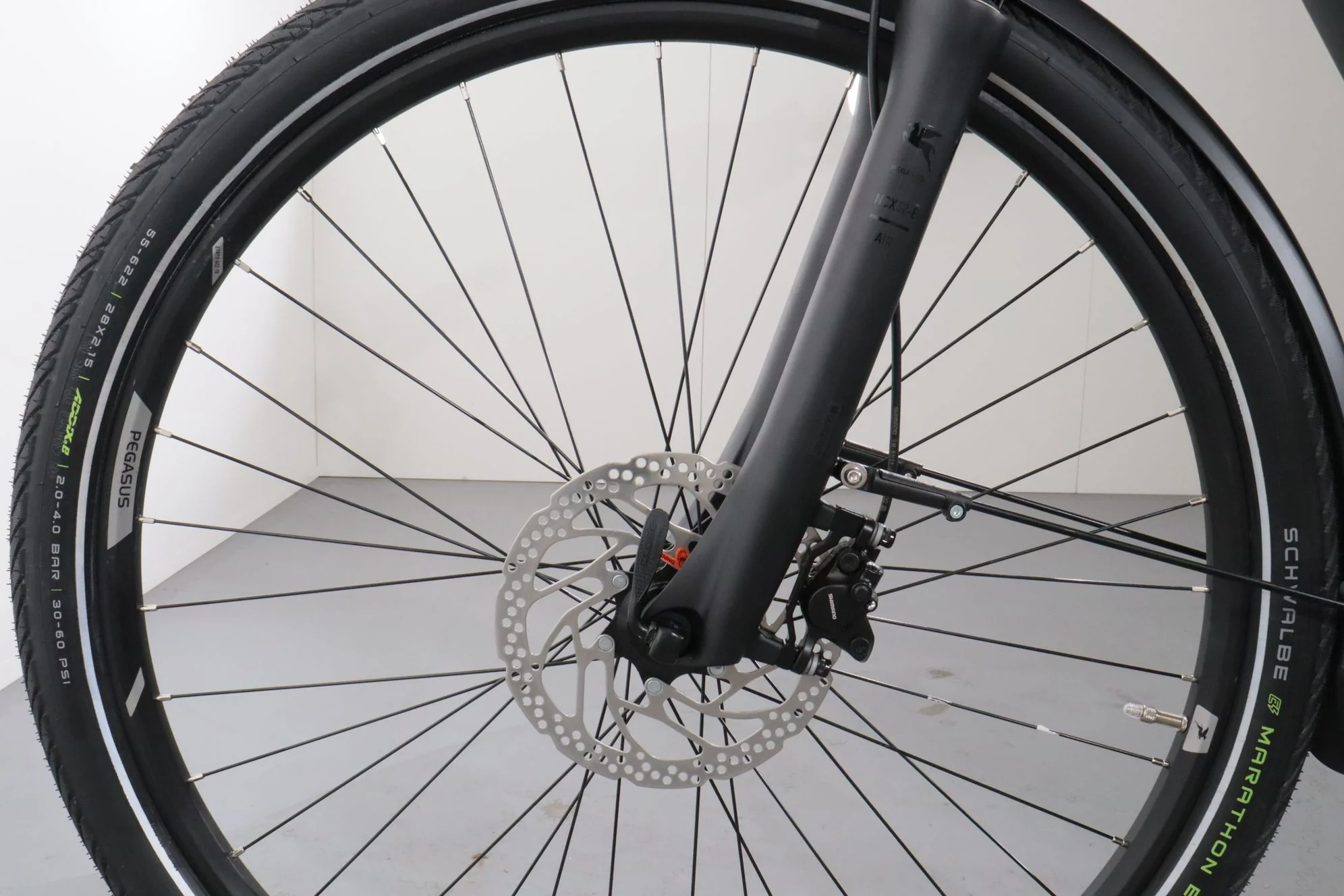 Pegasus Premio EVO 10 Lite - Image 11