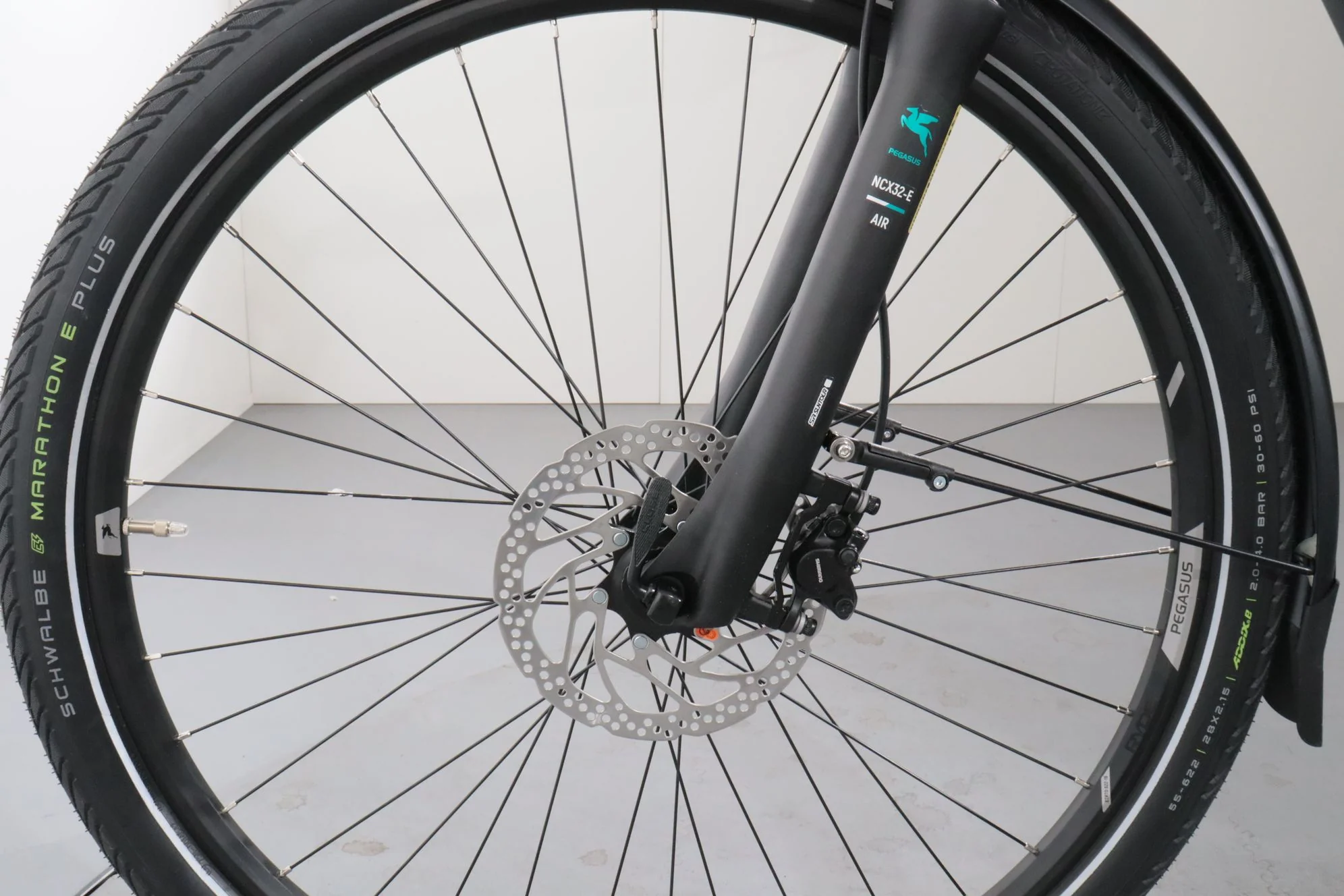 Pegasus Premio EVO 10 Lite - Image 11