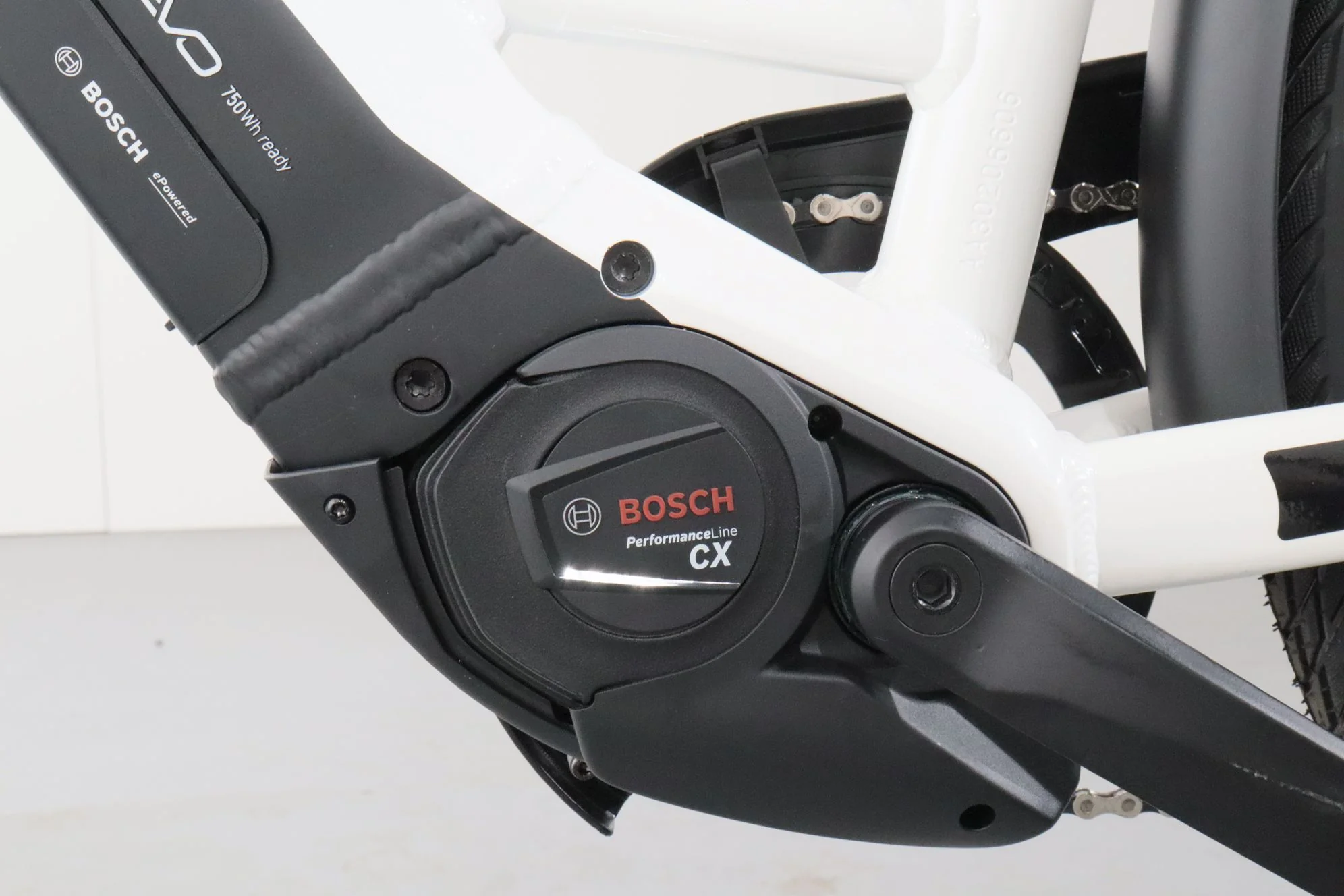 Pegasus Premio EVO 10 Lite - Image 13