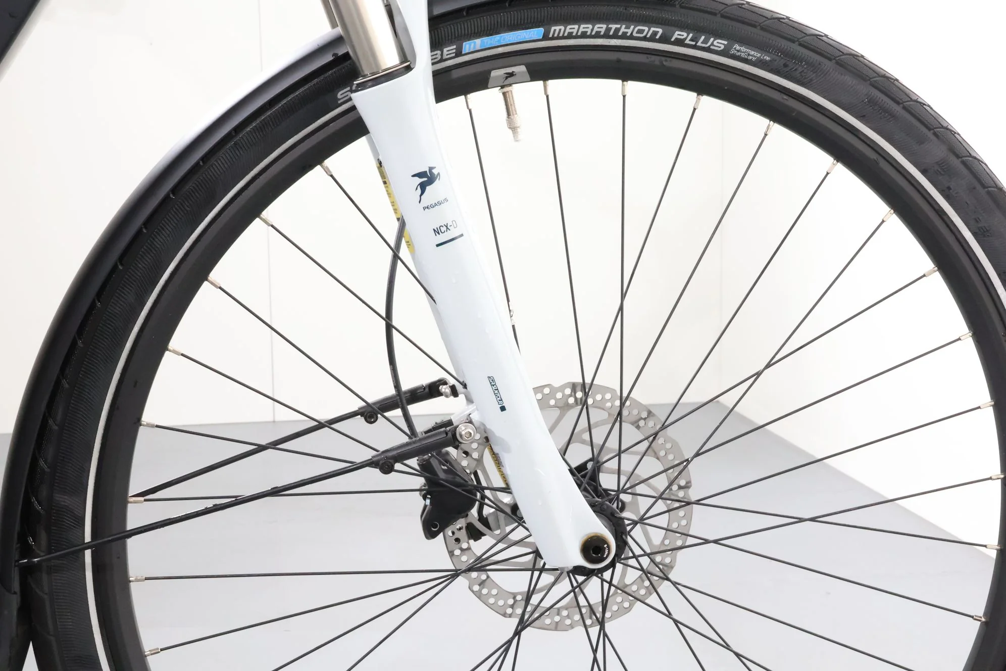 Pegasus Premio EVO 10 Lite - Image 11