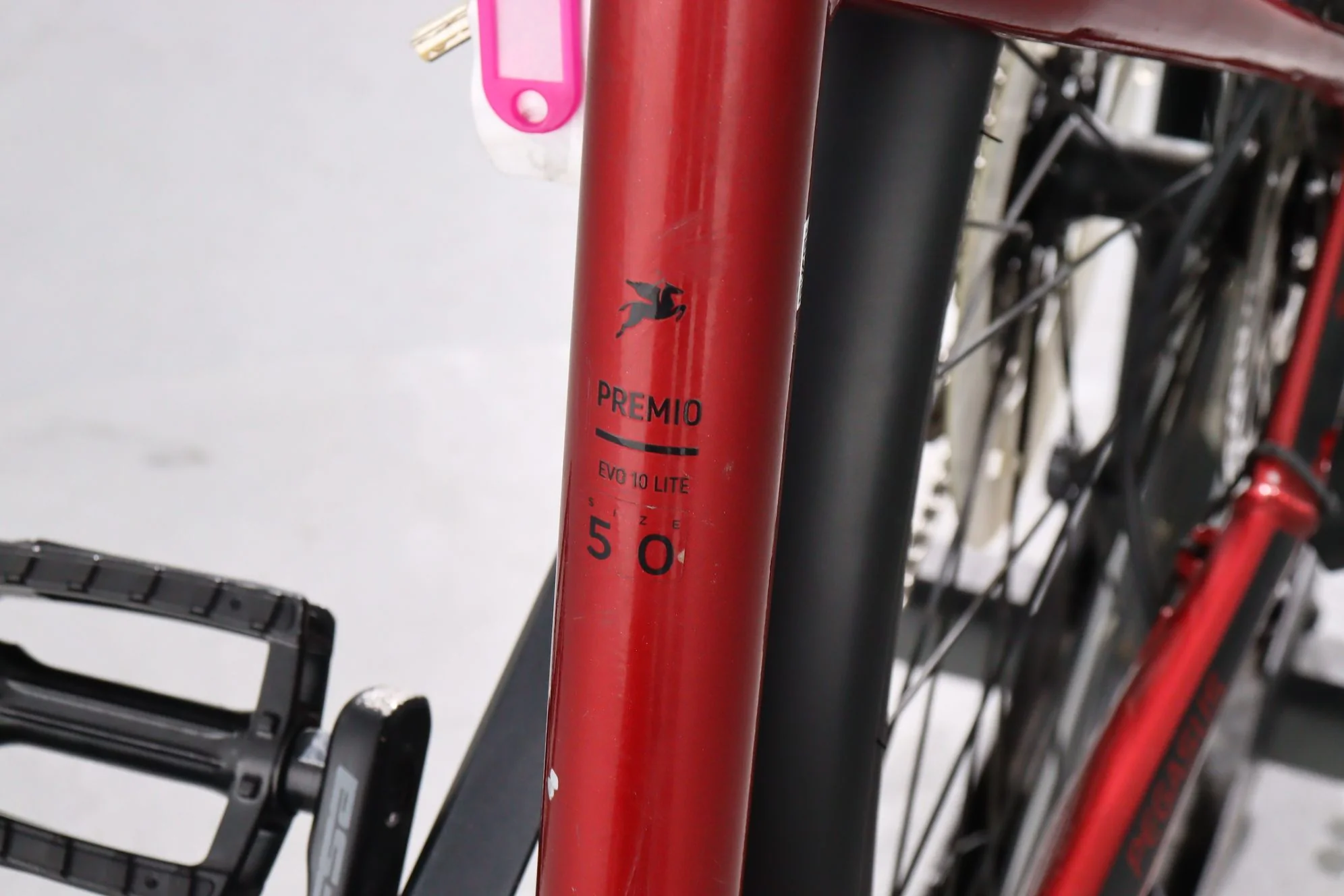Pegasus Premio EVO 10 Lite - Image 11