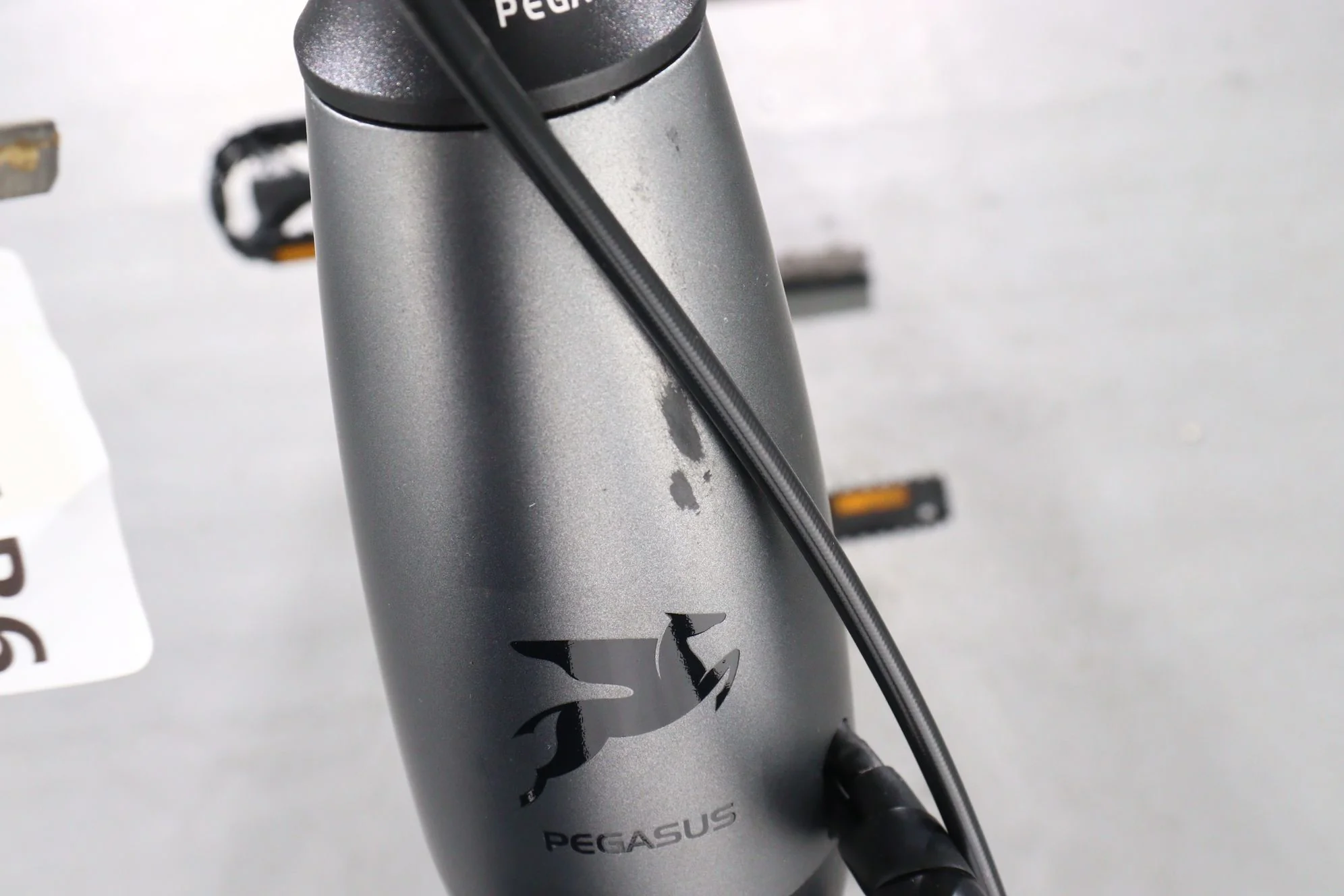 Pegasus Premio EVO 10 Lite - Image 12