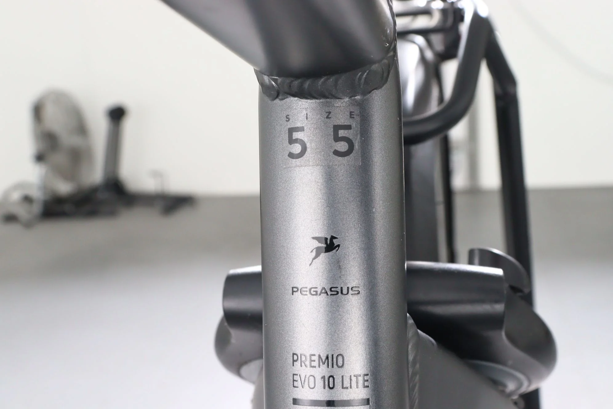 Pegasus Premio EVO 10 Lite - Image 9