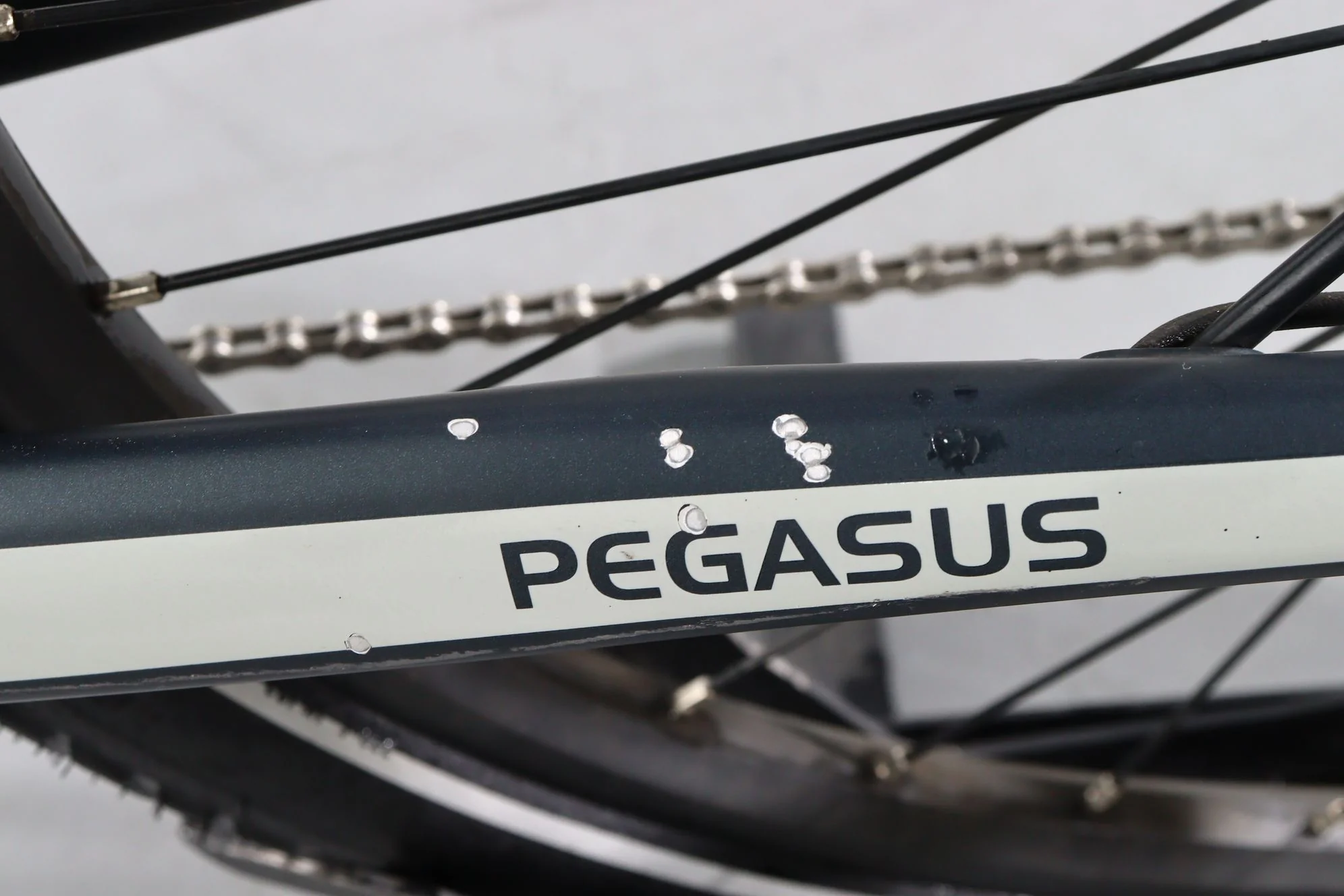 Pegasus Premio Evo 10 - Image 10